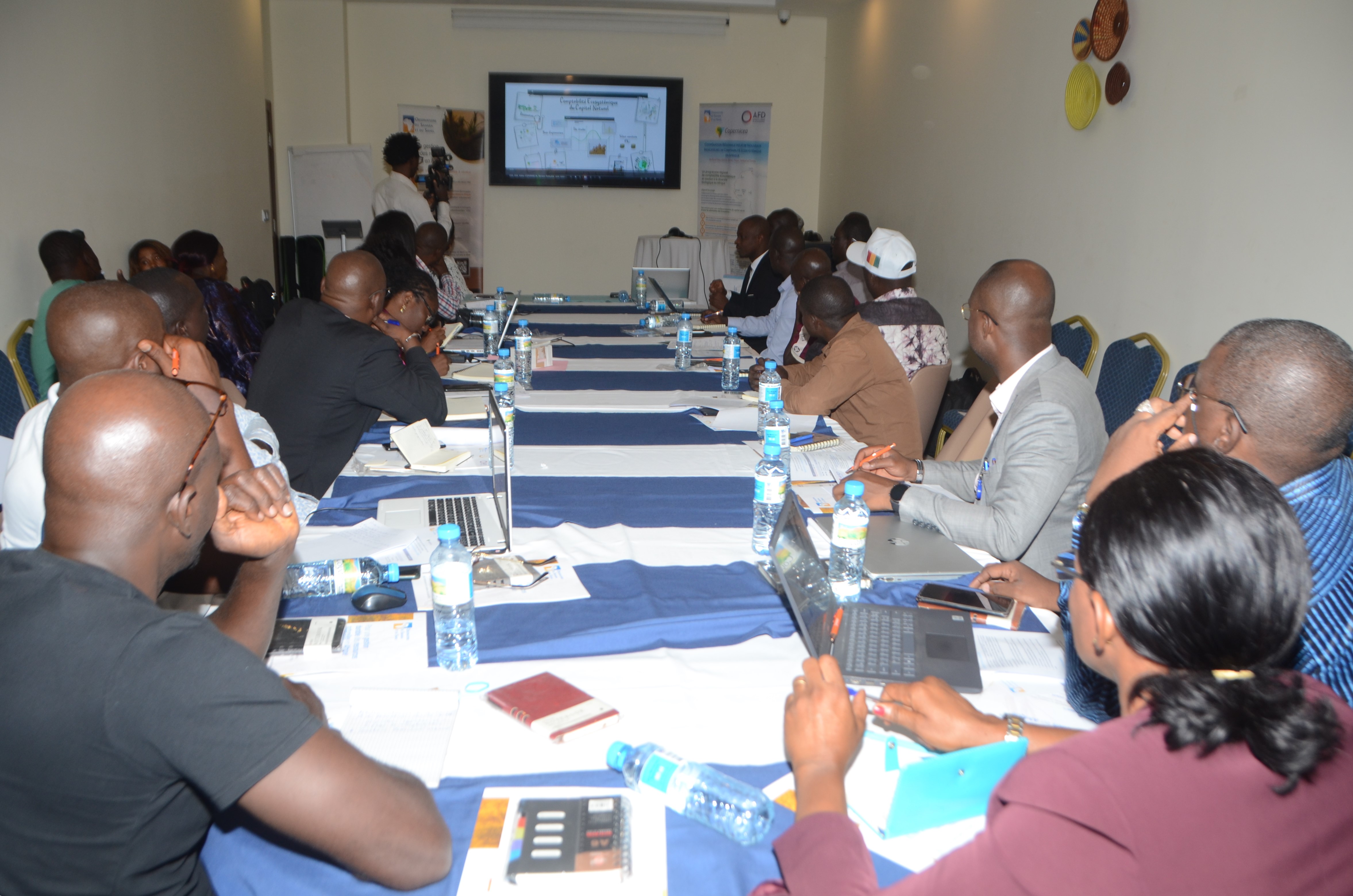 National awareness and training workshop on ENCA in Conakry