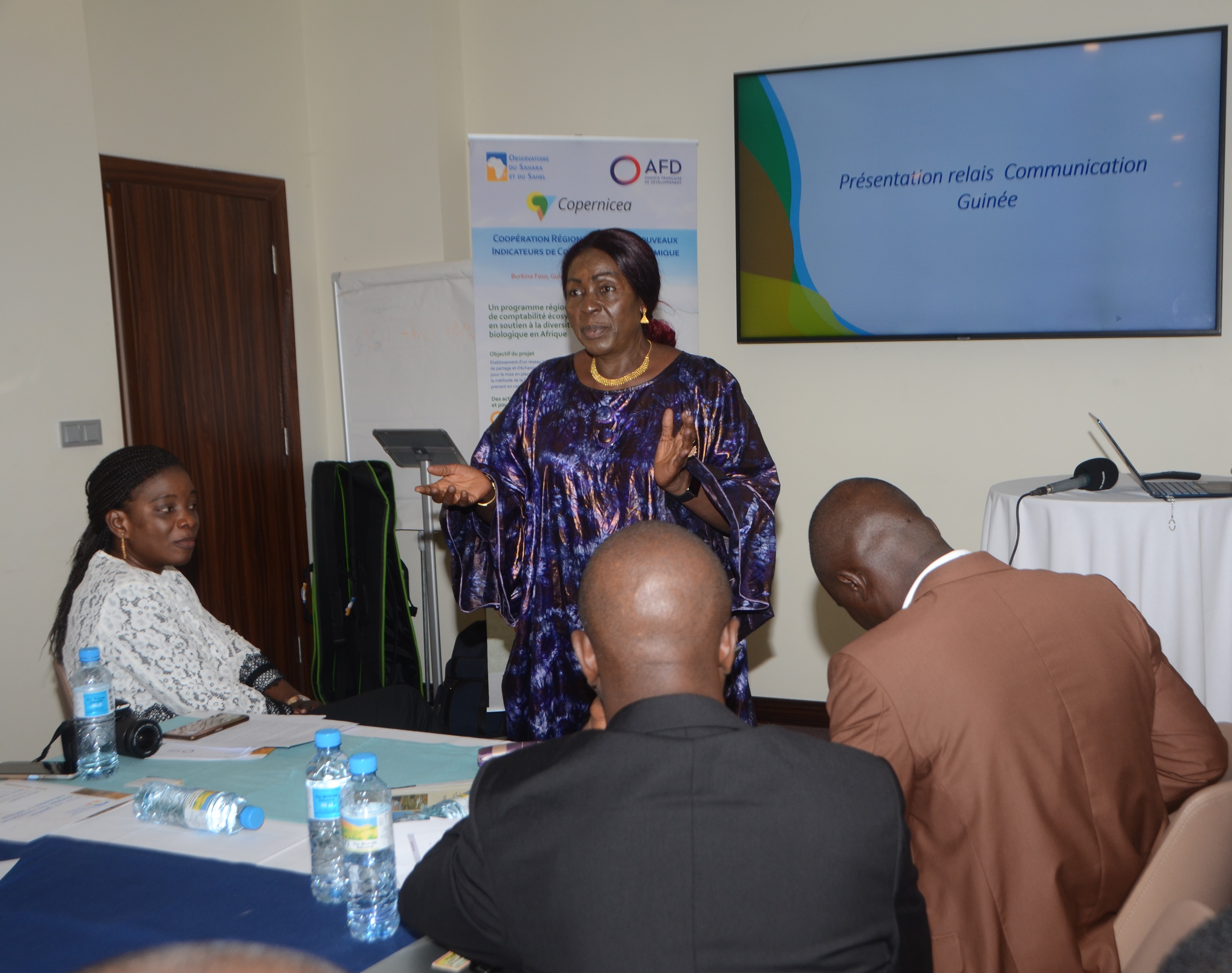 National awareness and training workshop on ENCA in Conakry