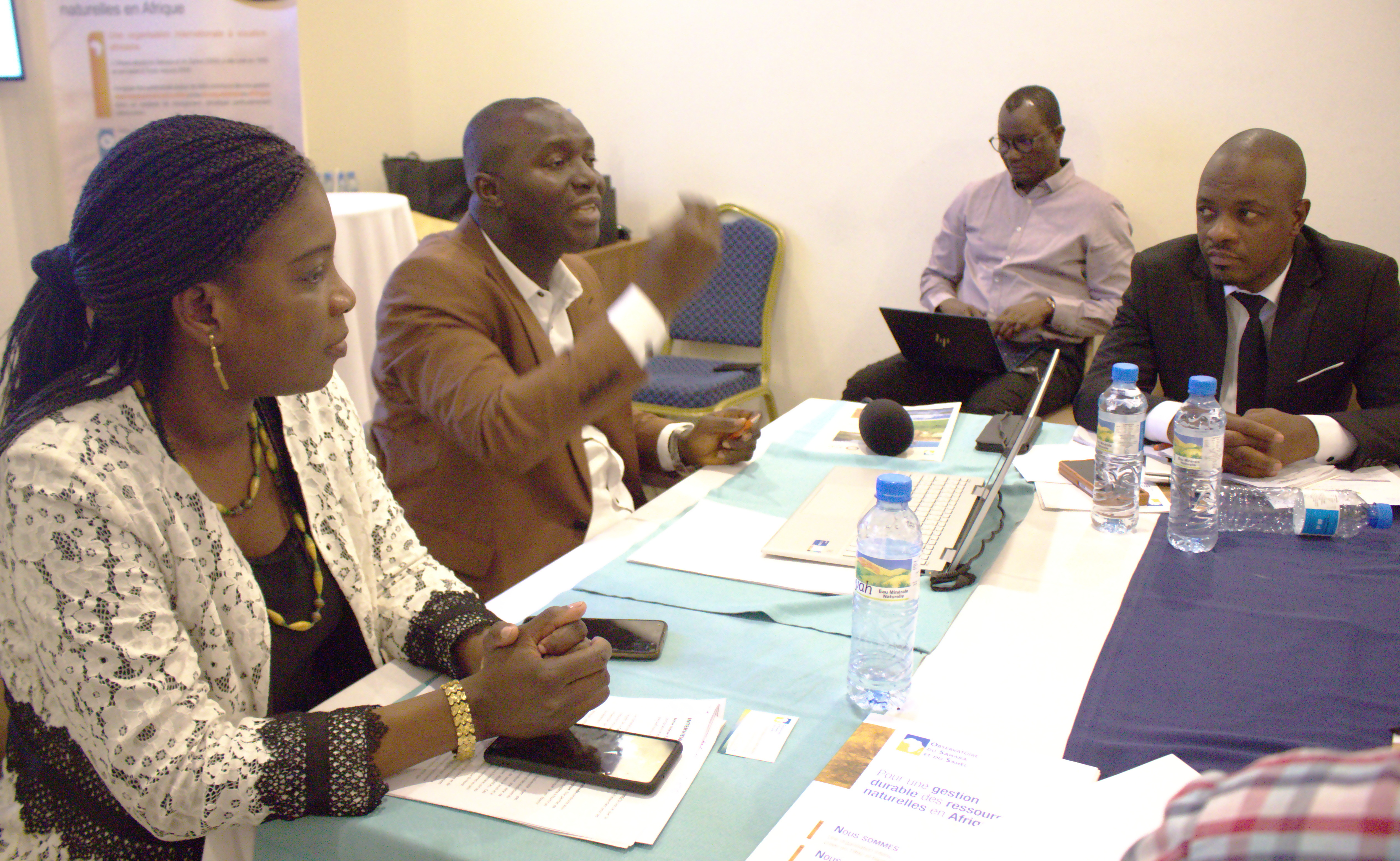 National awareness and training workshop on ENCA in Conakry