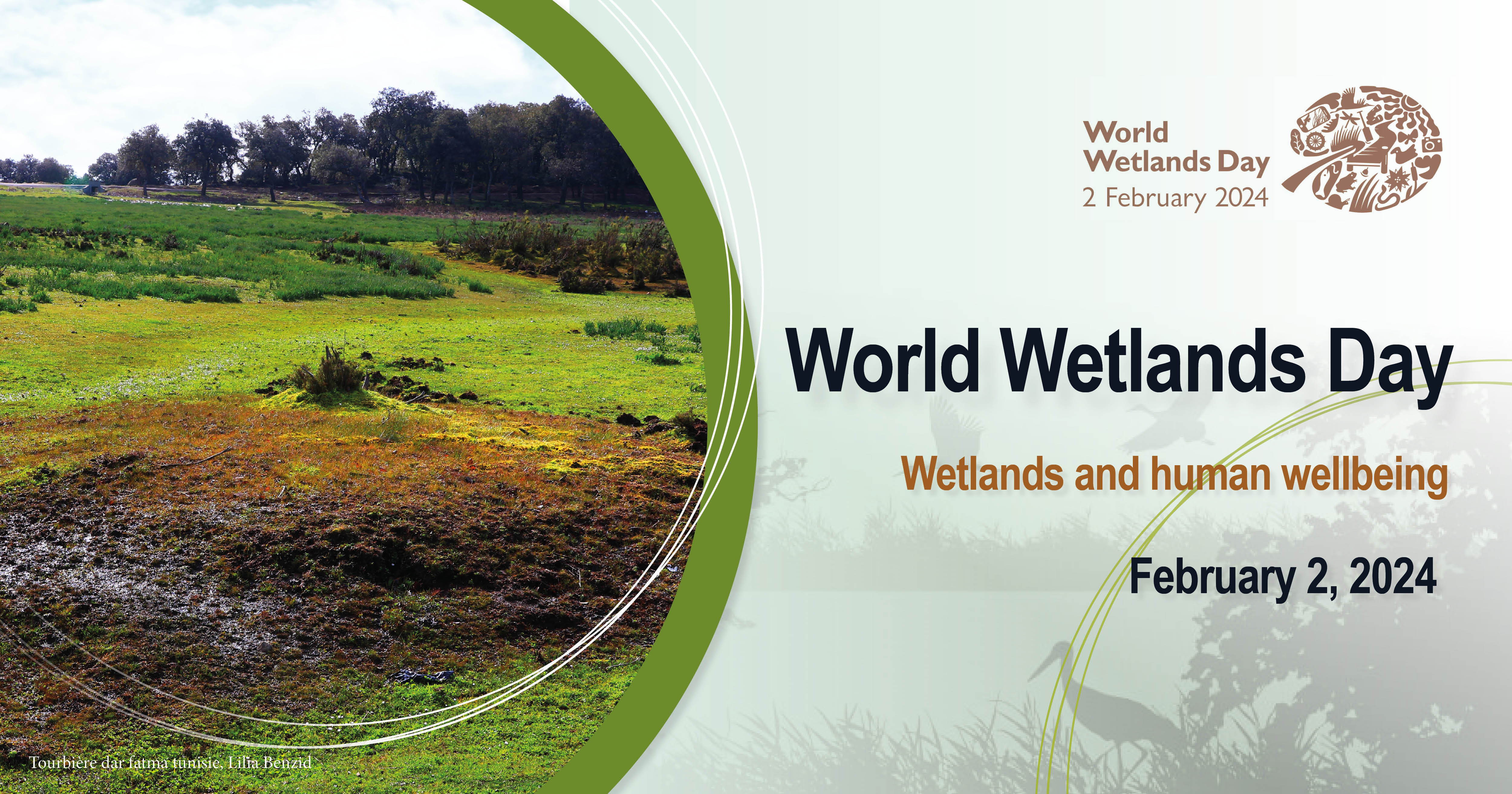Wetlands, Sources of Human Well-being