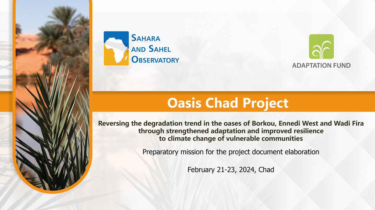  Preparatory mission for the Oasis-Chad project, February 21-23, 2024