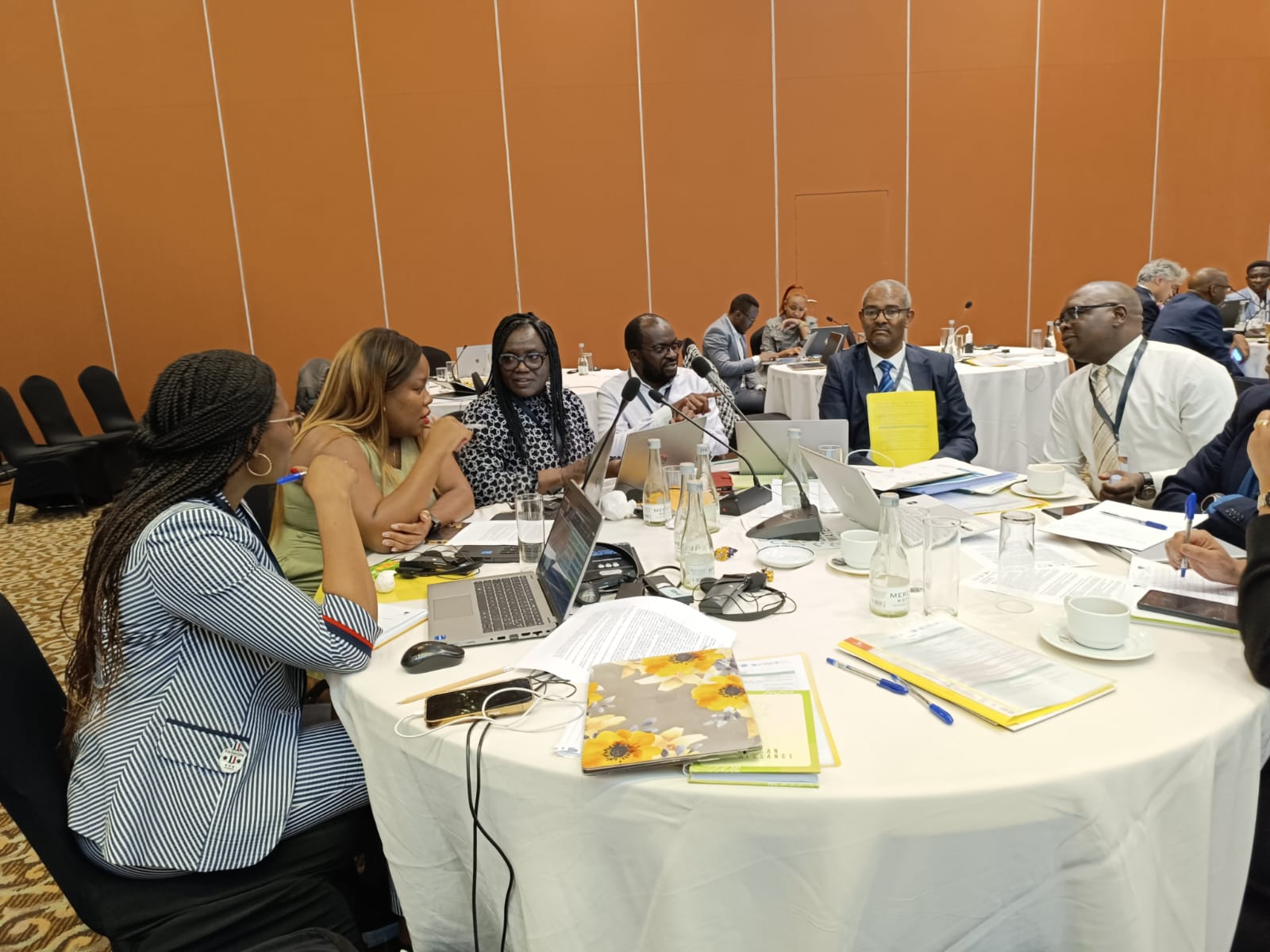 Réunion de consultation en préparation de la position de l'Afrique au 10ème Forum mondial de l'eau