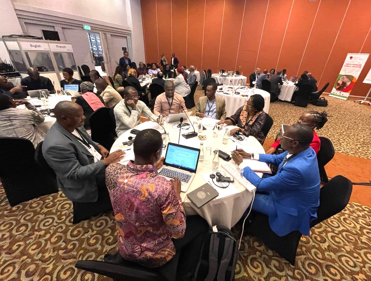 Consultation meeting in preparation for Africa's positioning in the 10th World Water Forum