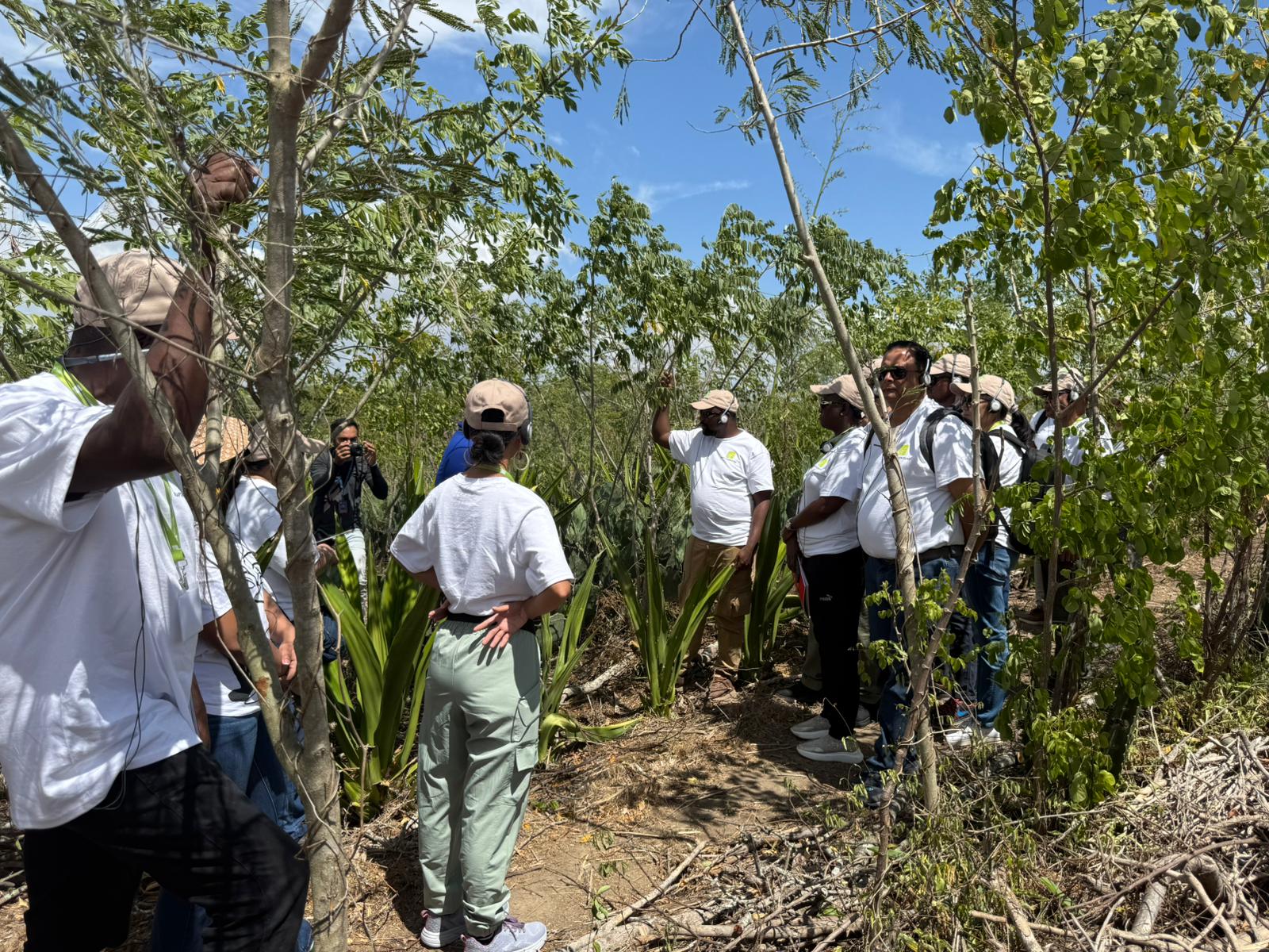 OSS Advances Locally Led Climate Adaptation at Global Write-shop in Recife, Brazil