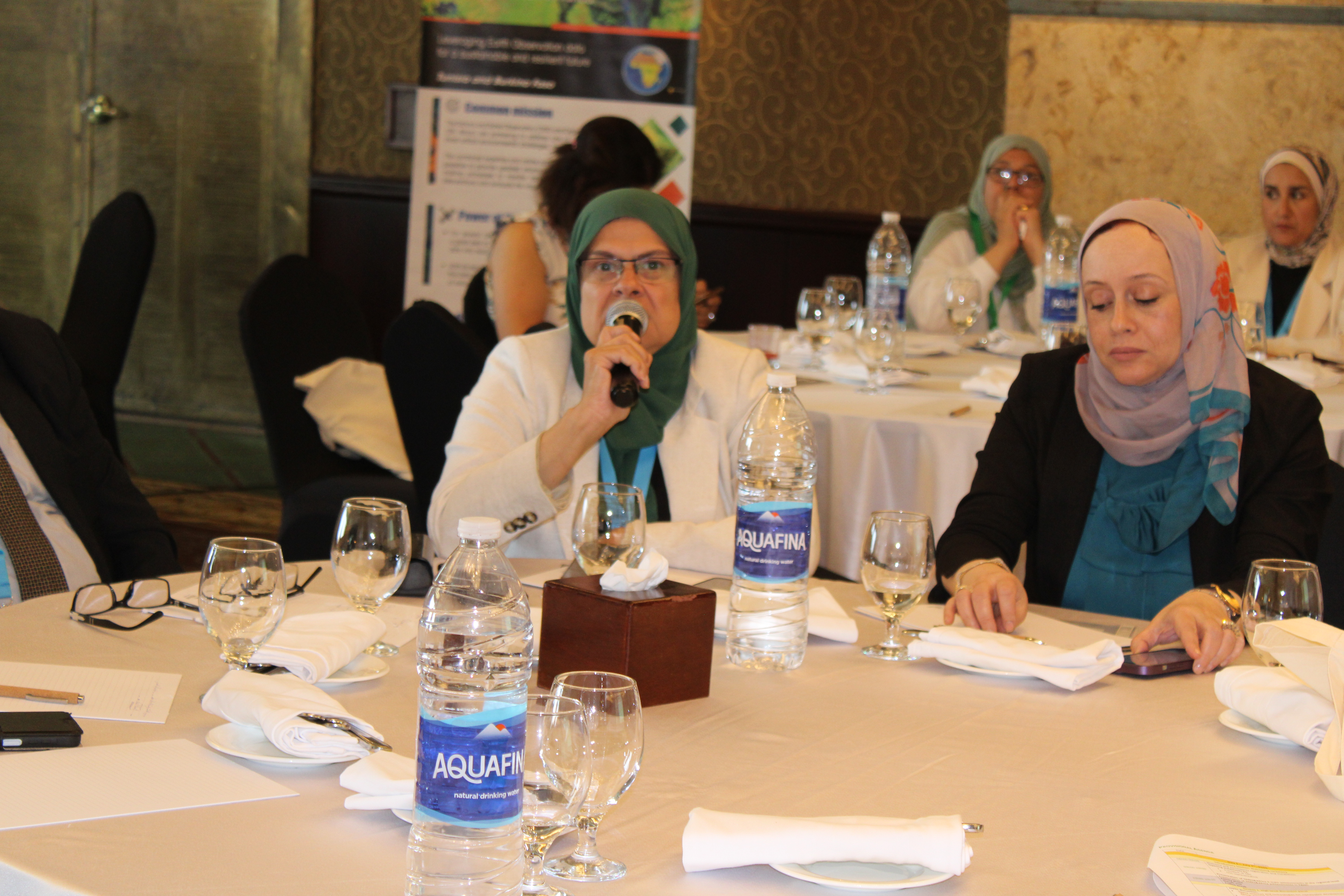 GMES&AfricaEgypt