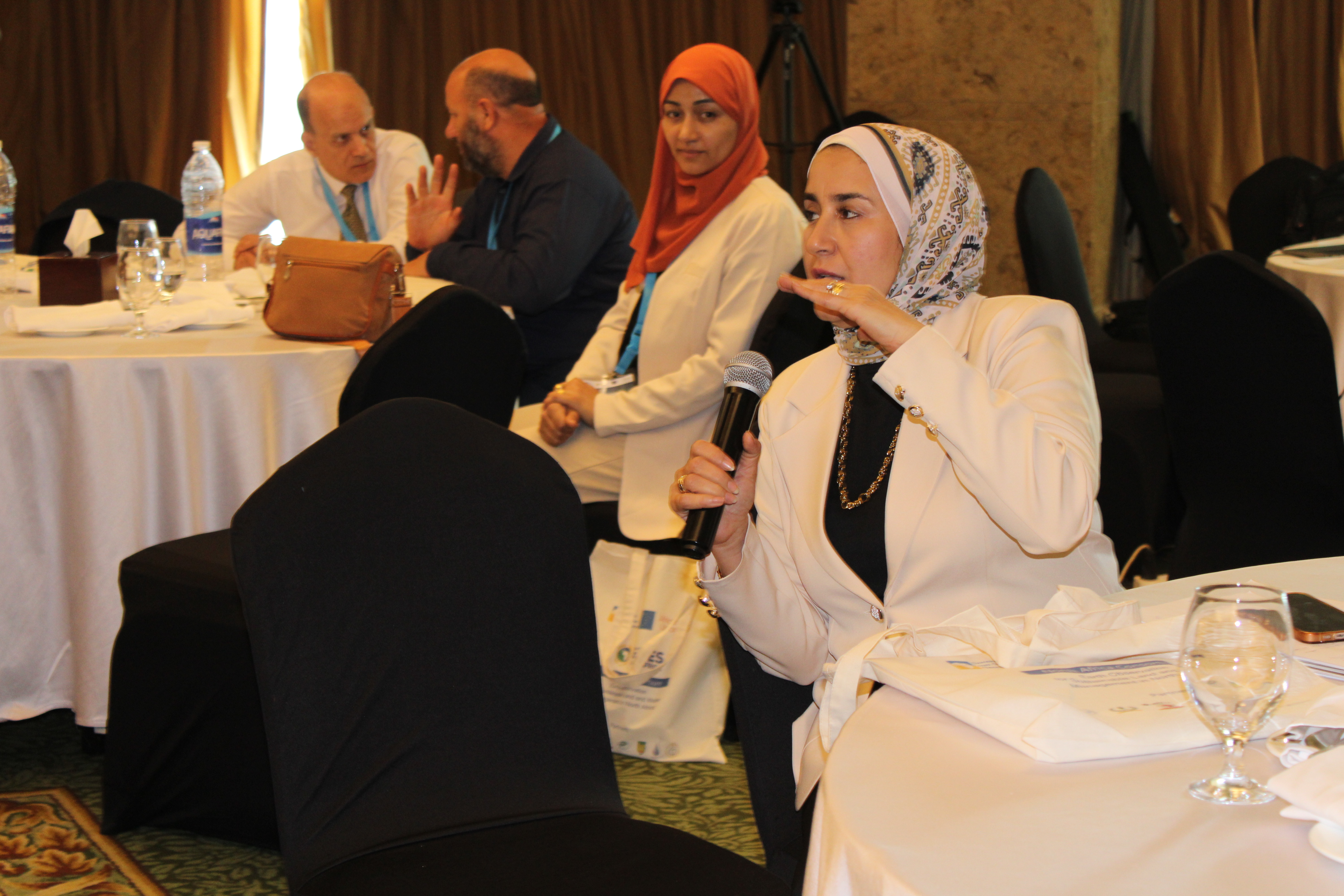 GMES&AfricaEgypt