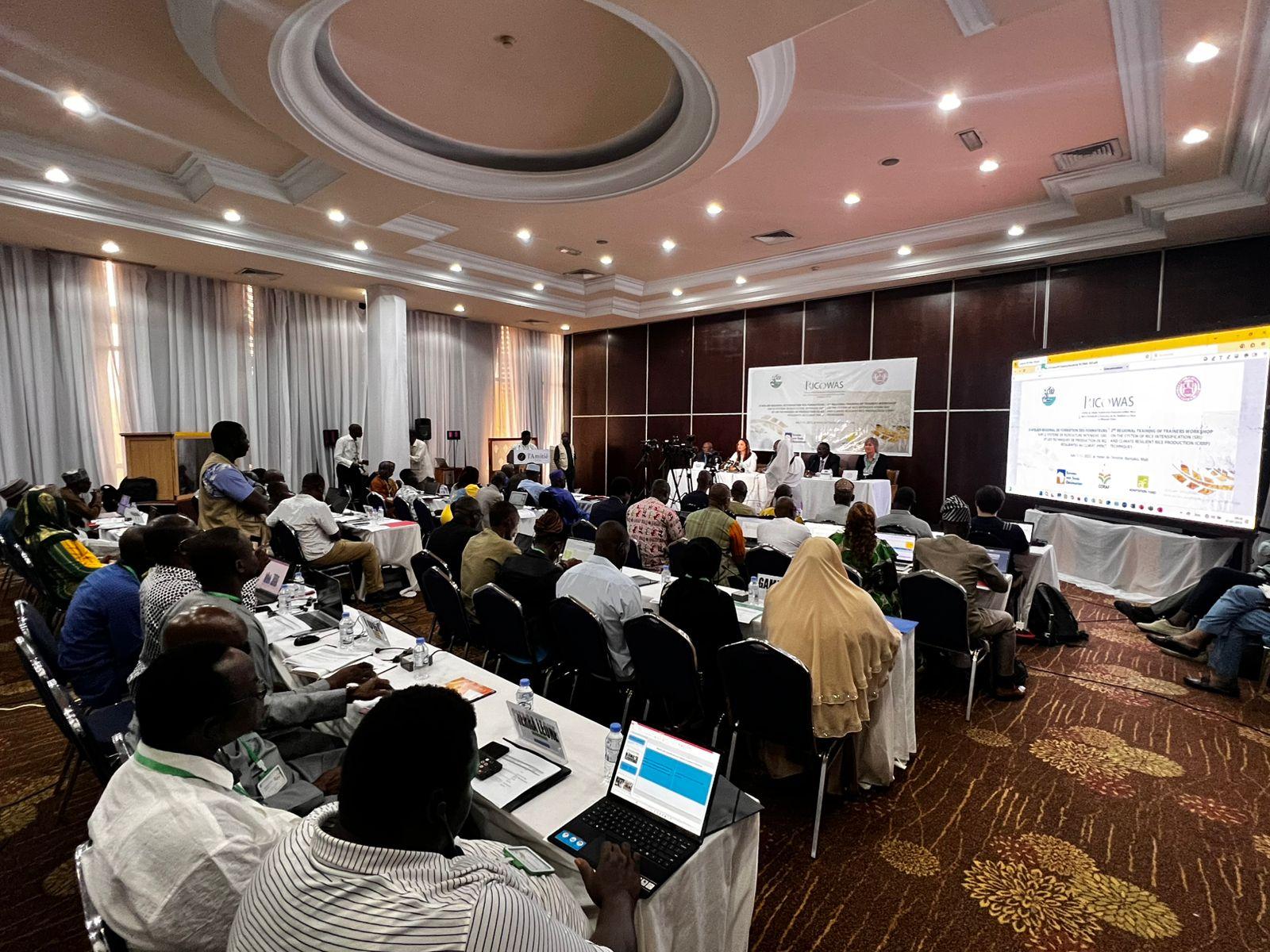 Second Regional Training of Trainers Workshop on Climate-Resilient Rice Production