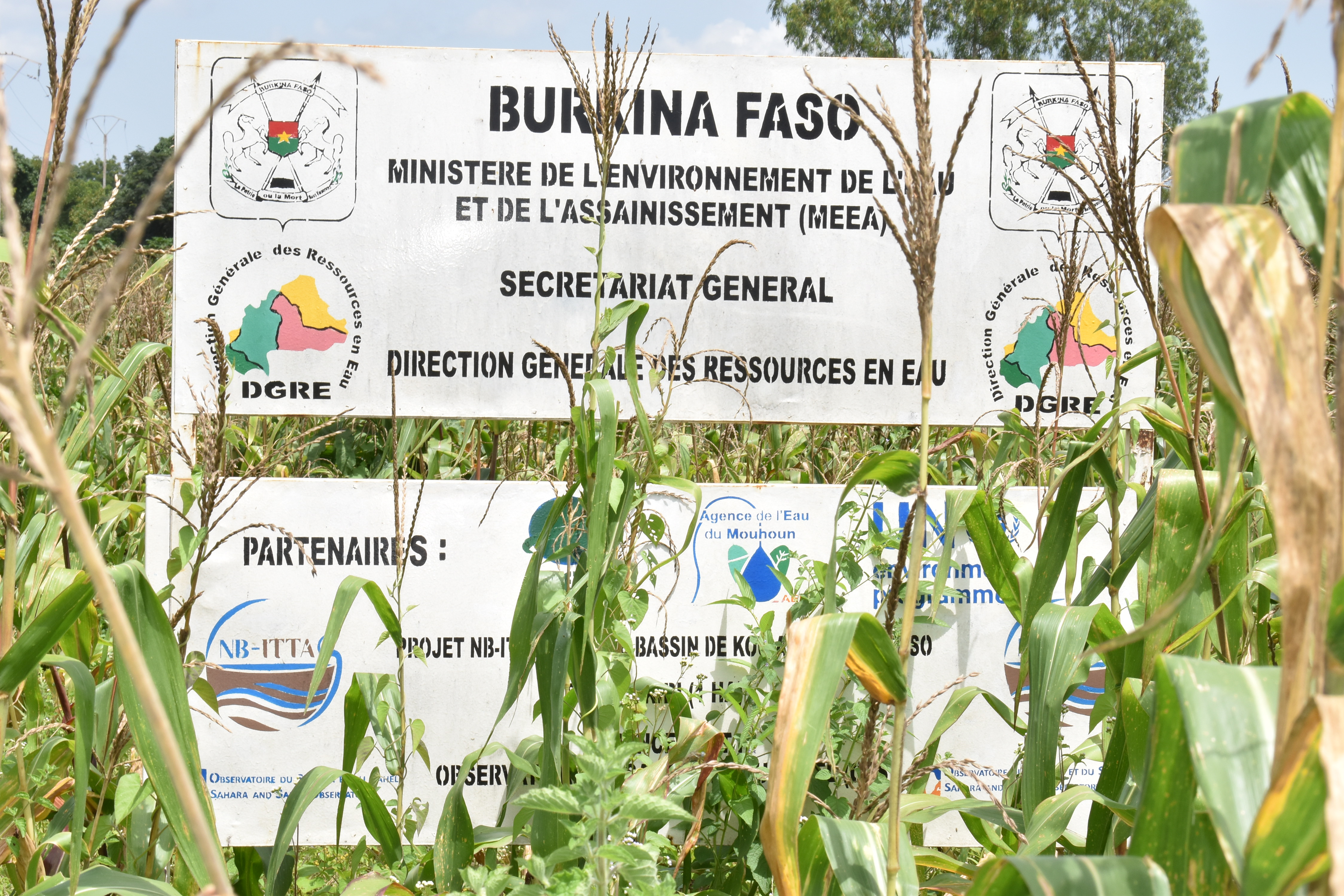 Supervision du projet pilote NB-ITTAS au Burkina Faso : des avancées prometteuses