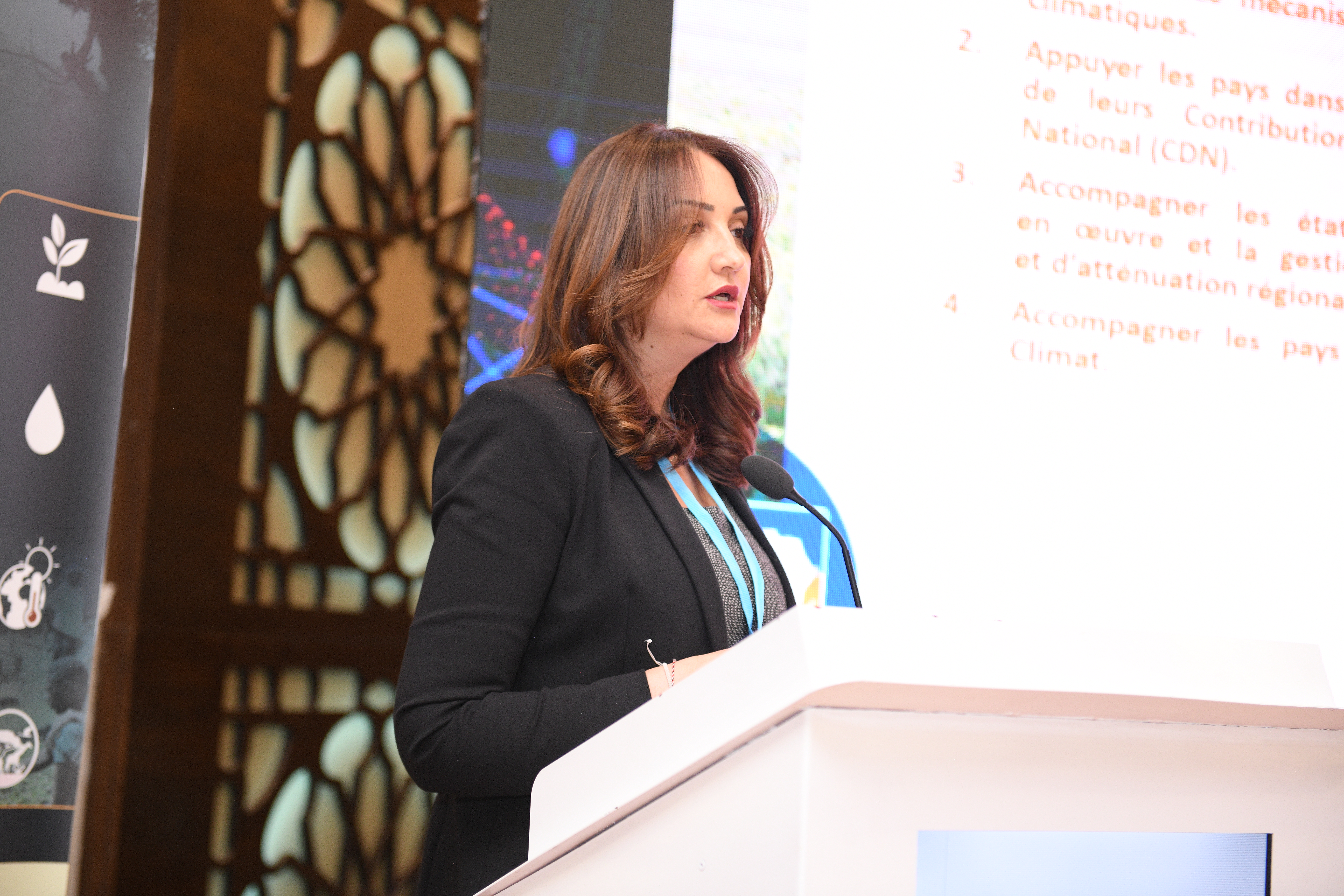 31st Session of the OSS Executive Board, April 22, 2025