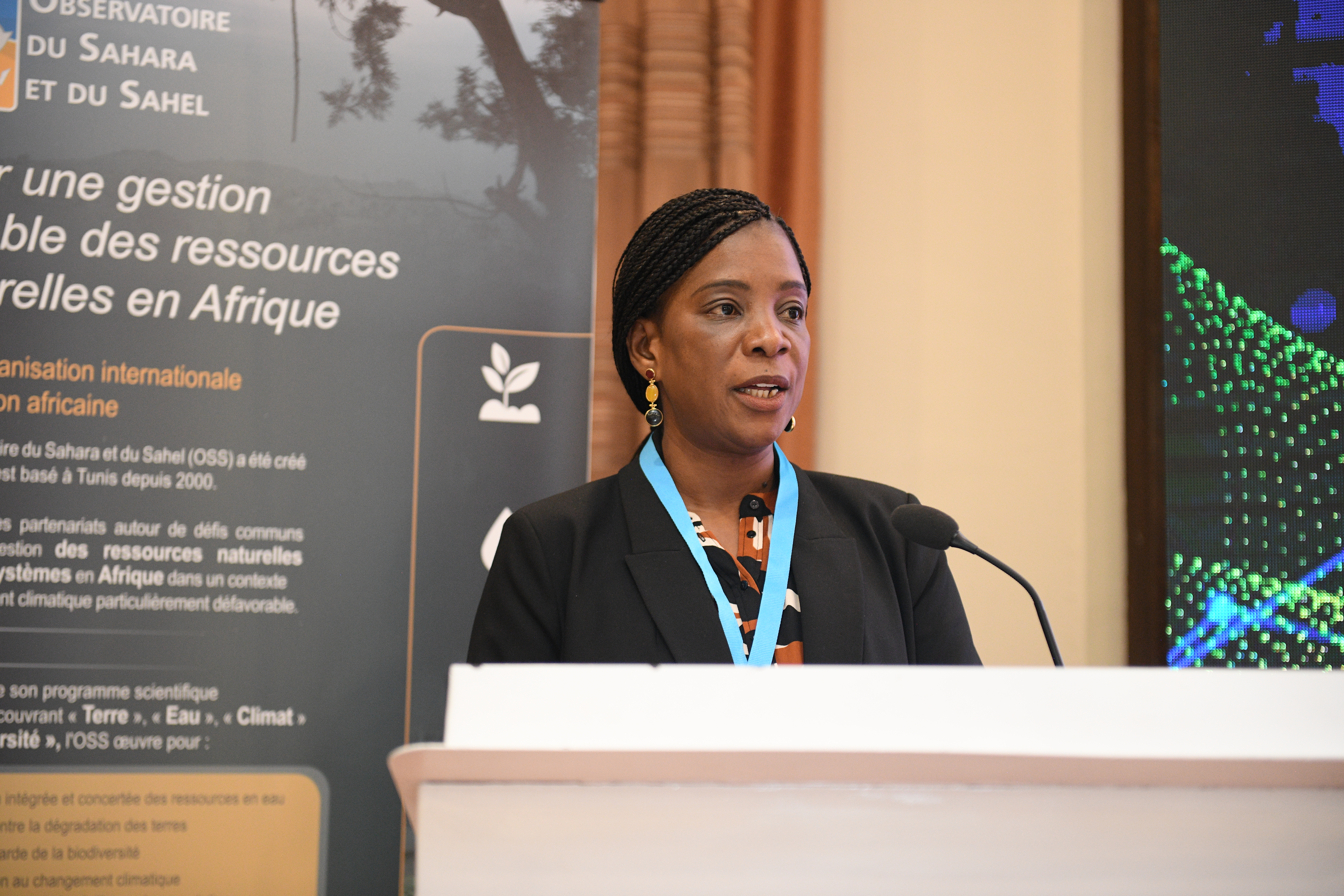 31st Session of the OSS Executive Board, April 22, 2025