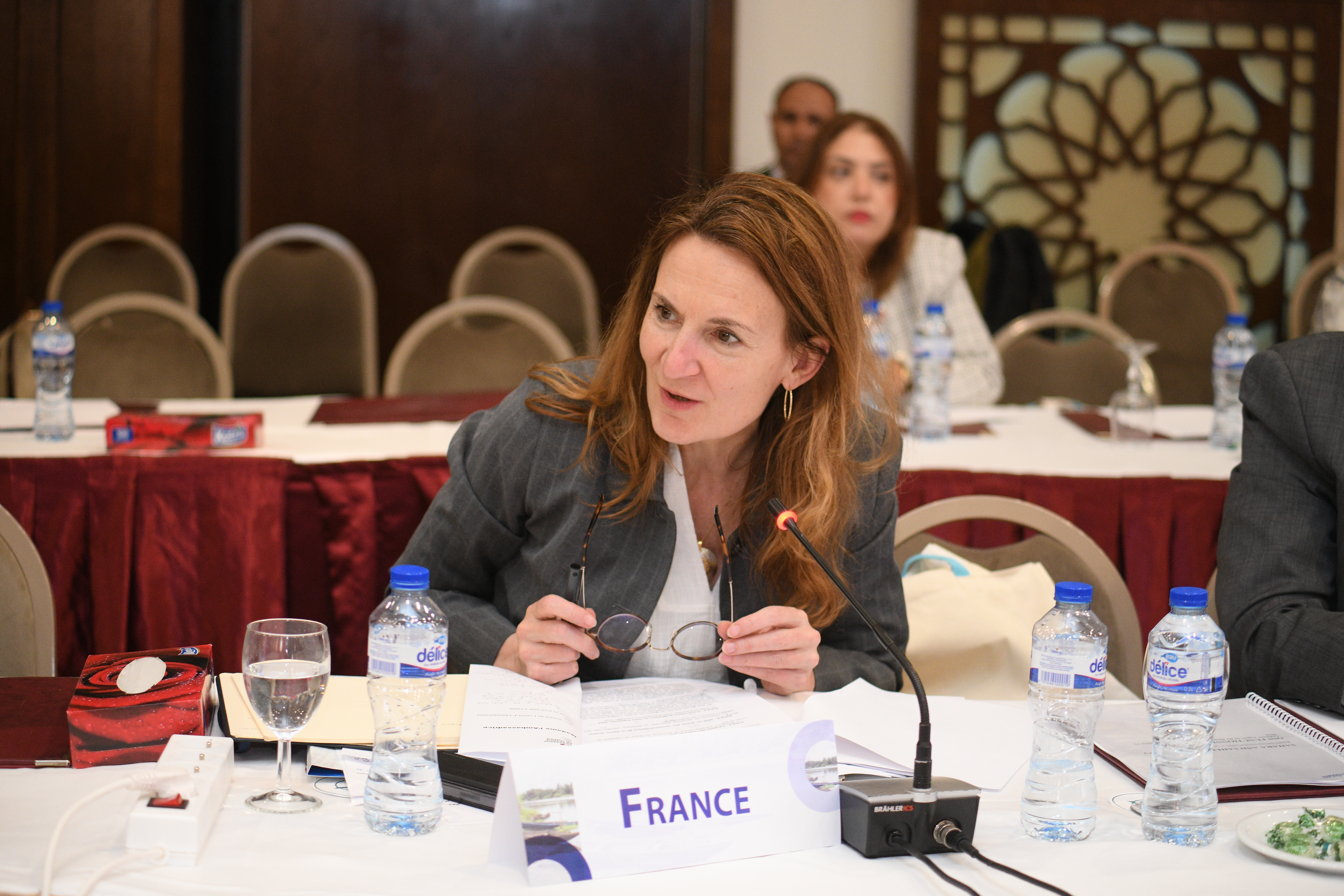 31st Session of the OSS Executive Board, April 22, 2025