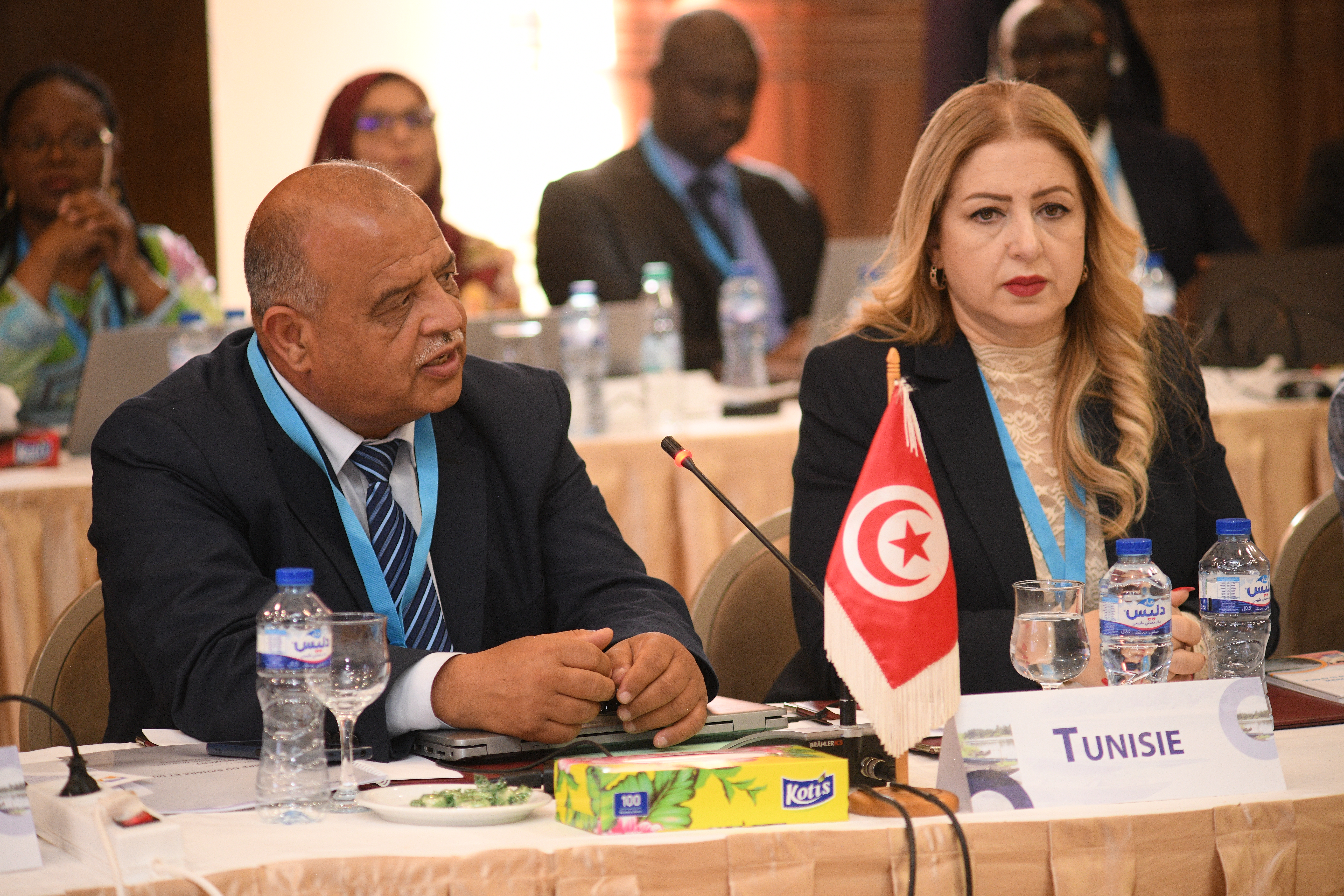 31st Session of the OSS Executive Board, April 22, 2025