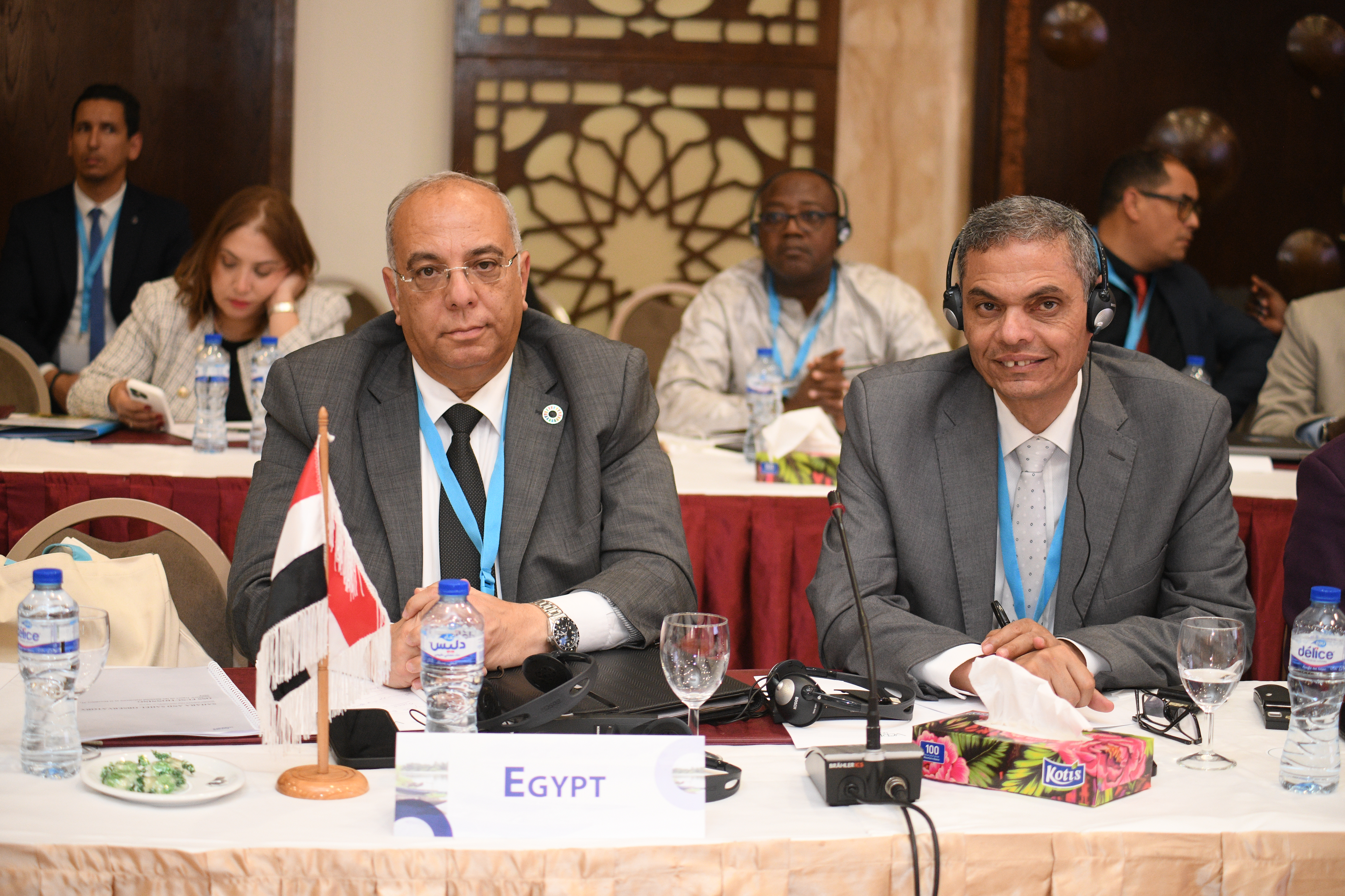 31st Session of the OSS Executive Board, April 22, 2025