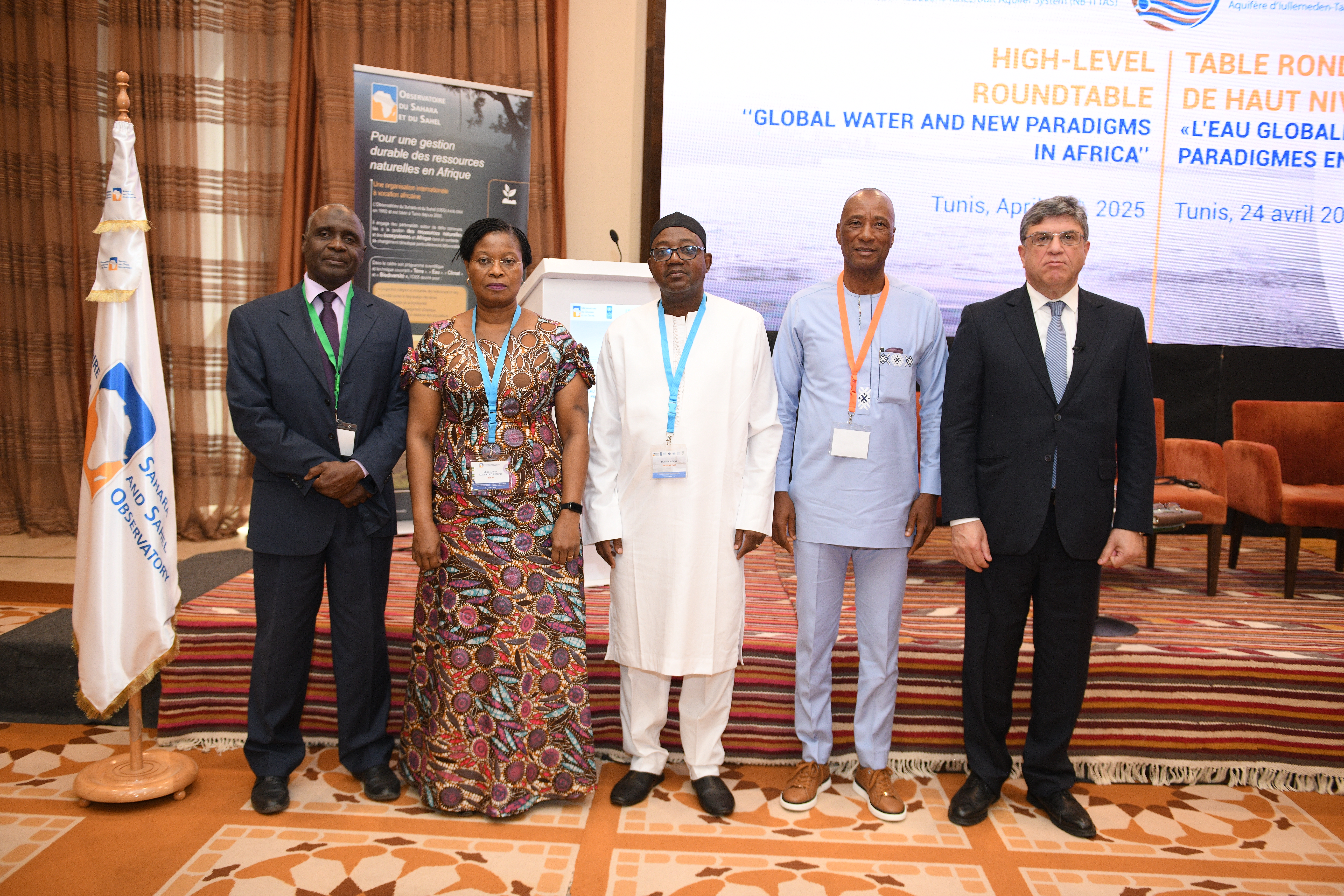 Global Water: Redefining the rules of the water game in Africa