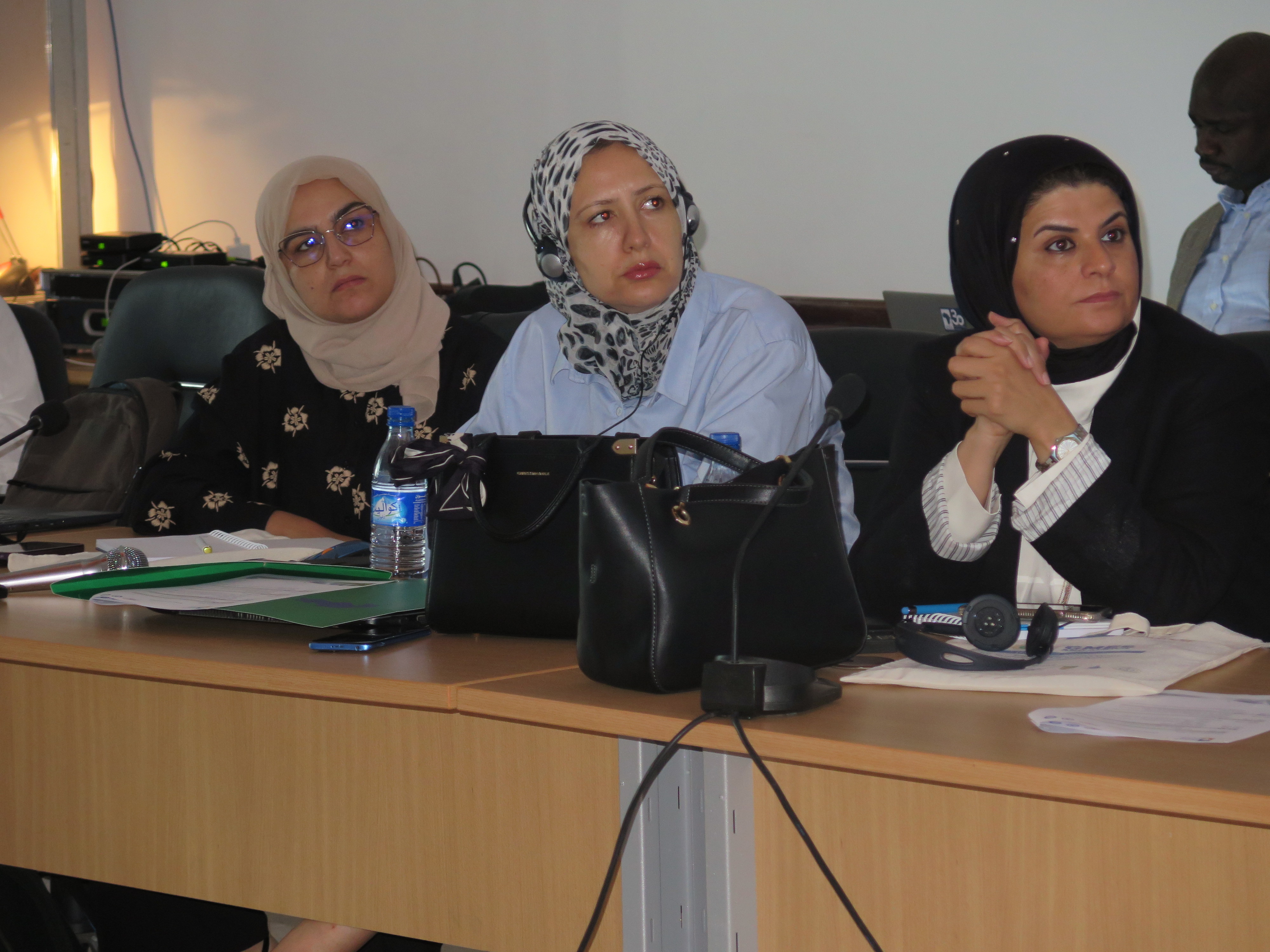 Training Workshop on Water Monitoring and Optimization in North Africa 