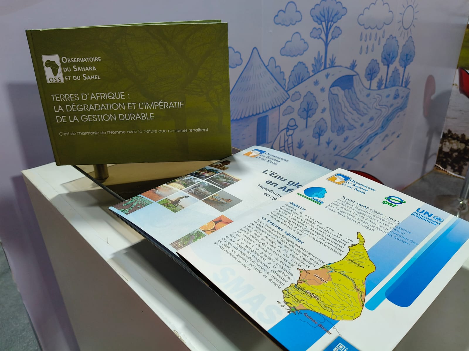 The Sahara and Sahel Observatory highlights water governance issues at IRRIMED EXPO 2025