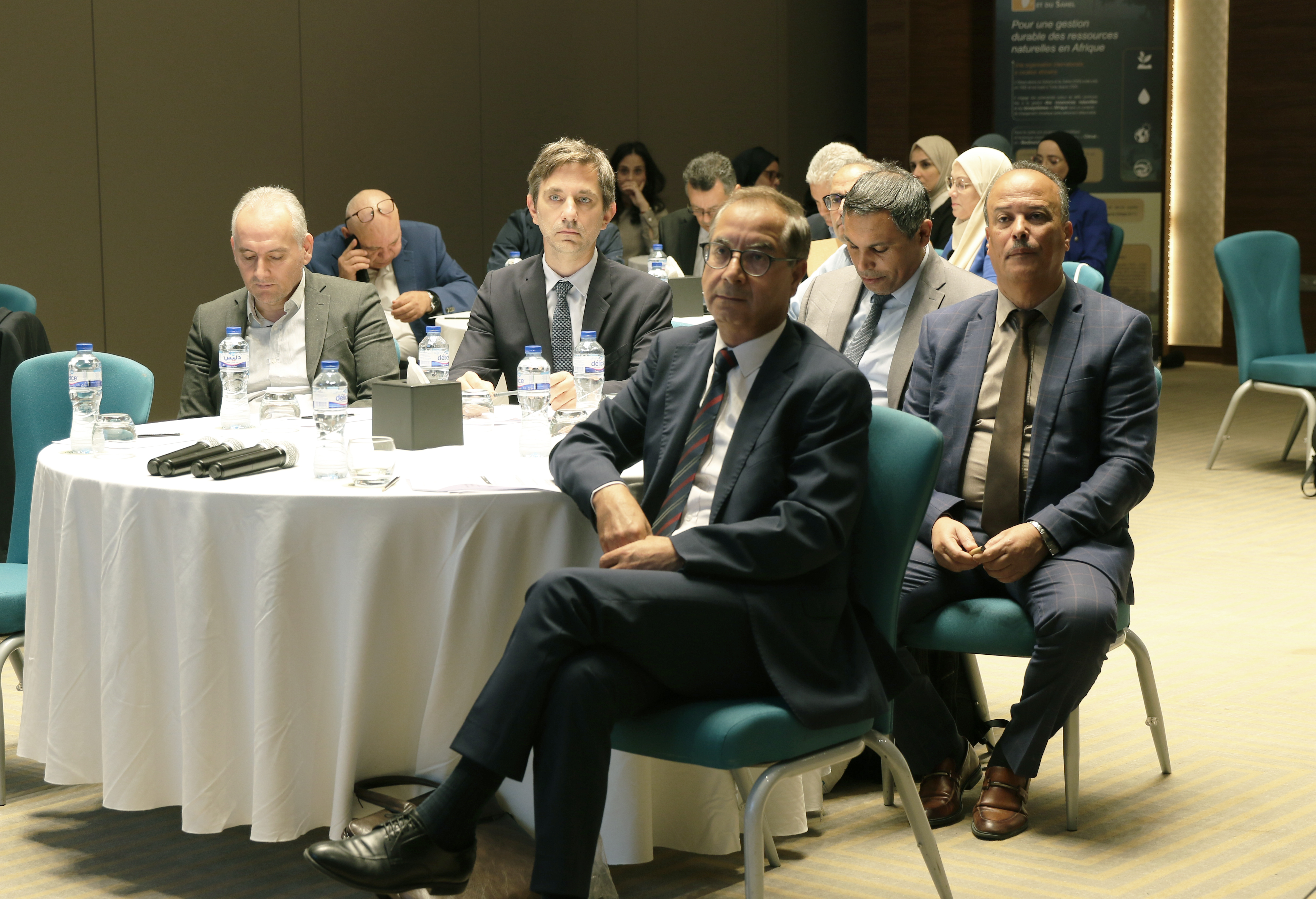 The national workshop for the closure and dissemination of the results of the COPERNICEA 