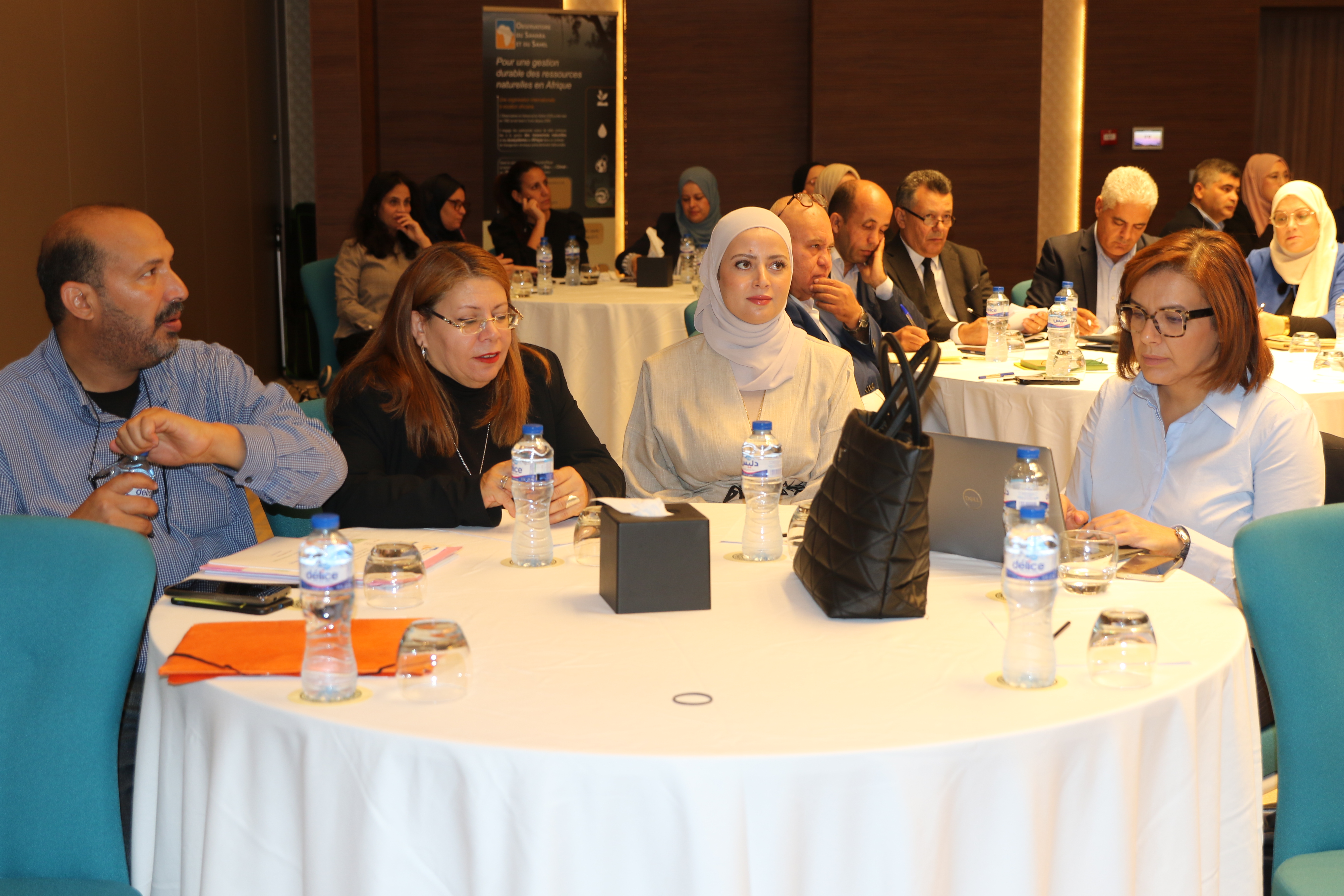 The national workshop for the closure and dissemination of the results of the COPERNICEA 