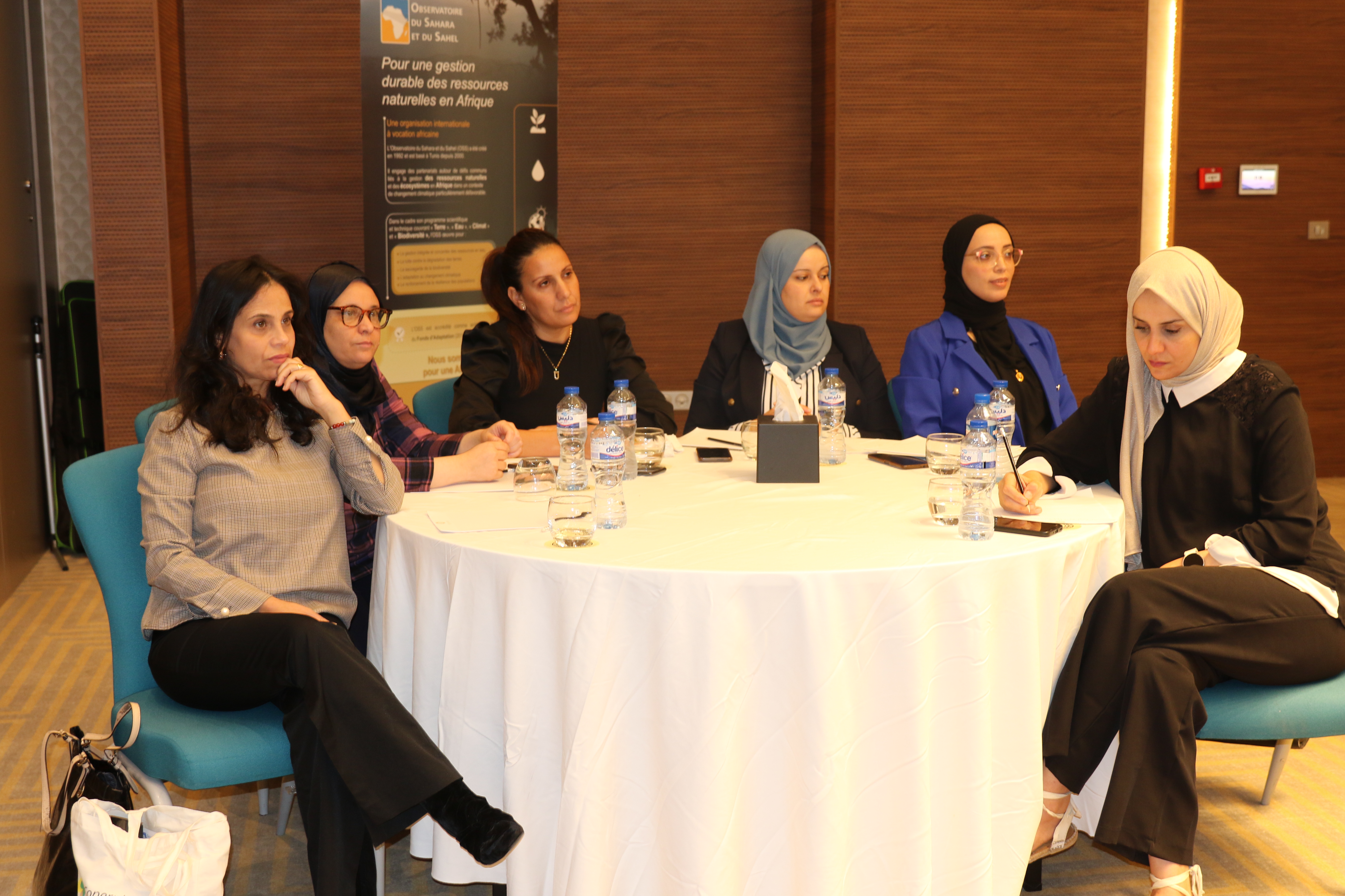 The national workshop for the closure and dissemination of the results of the COPERNICEA 