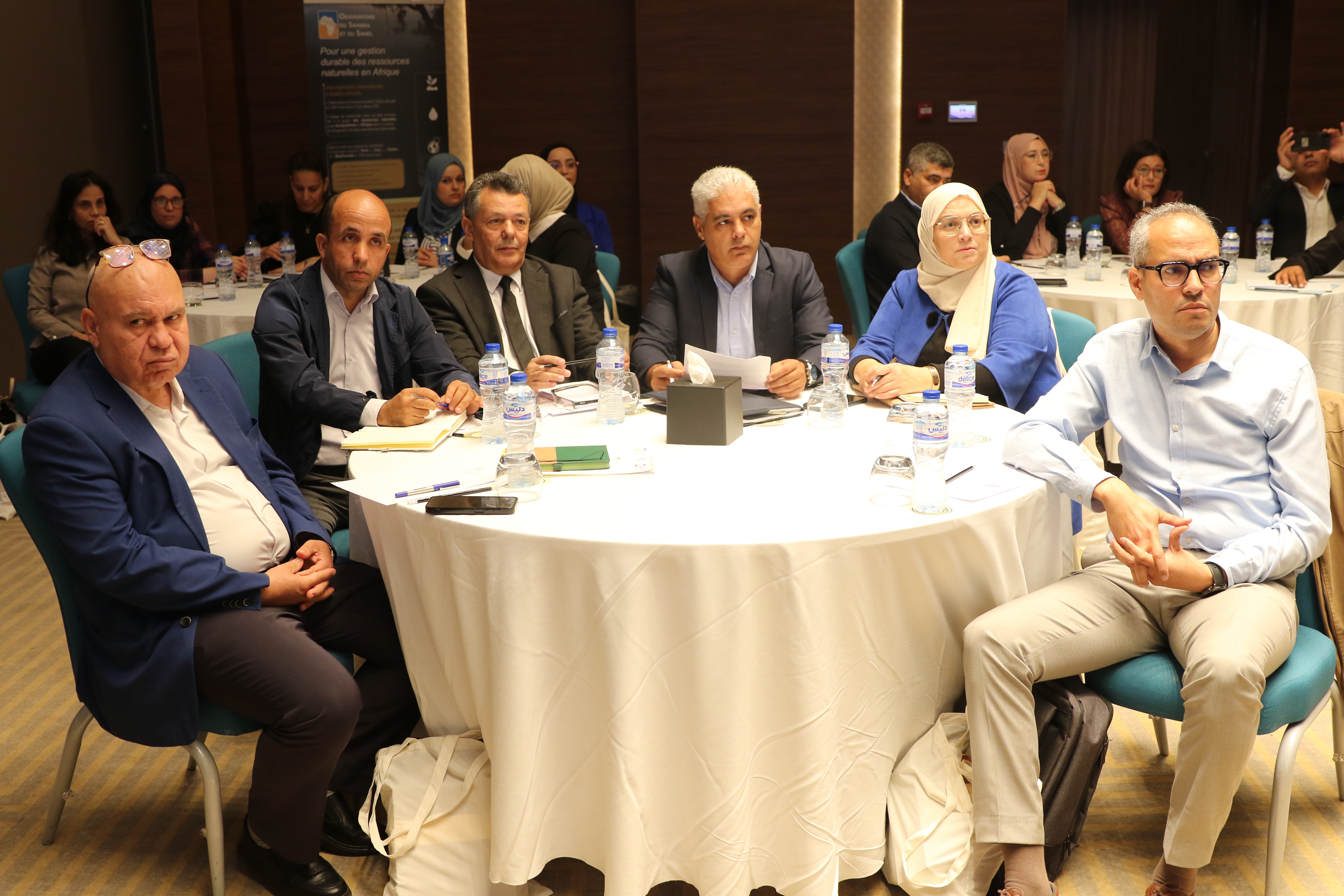 The national workshop for the closure and dissemination of the results of the COPERNICEA 