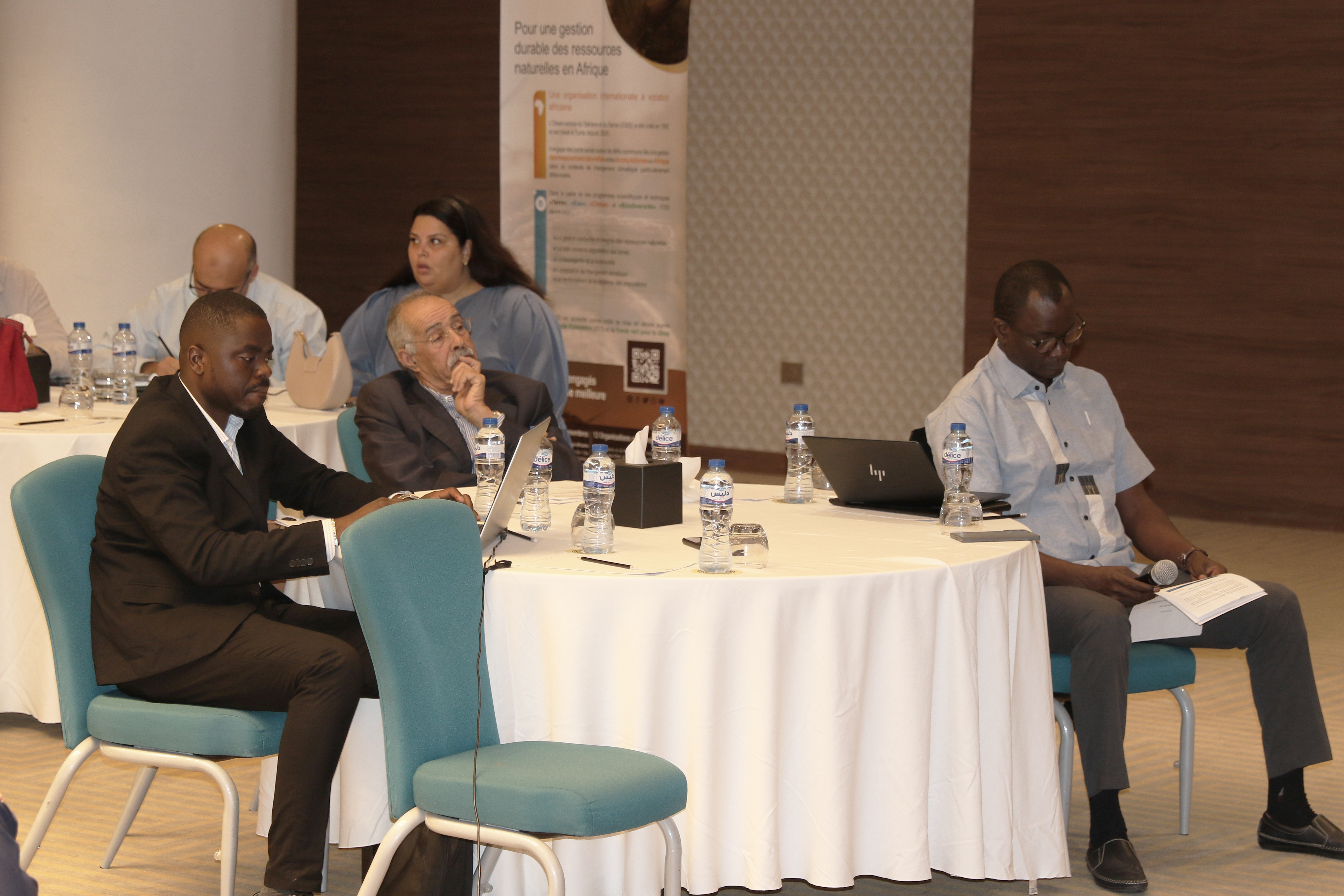 The national workshop for the closure and dissemination of the results of the COPERNICEA 