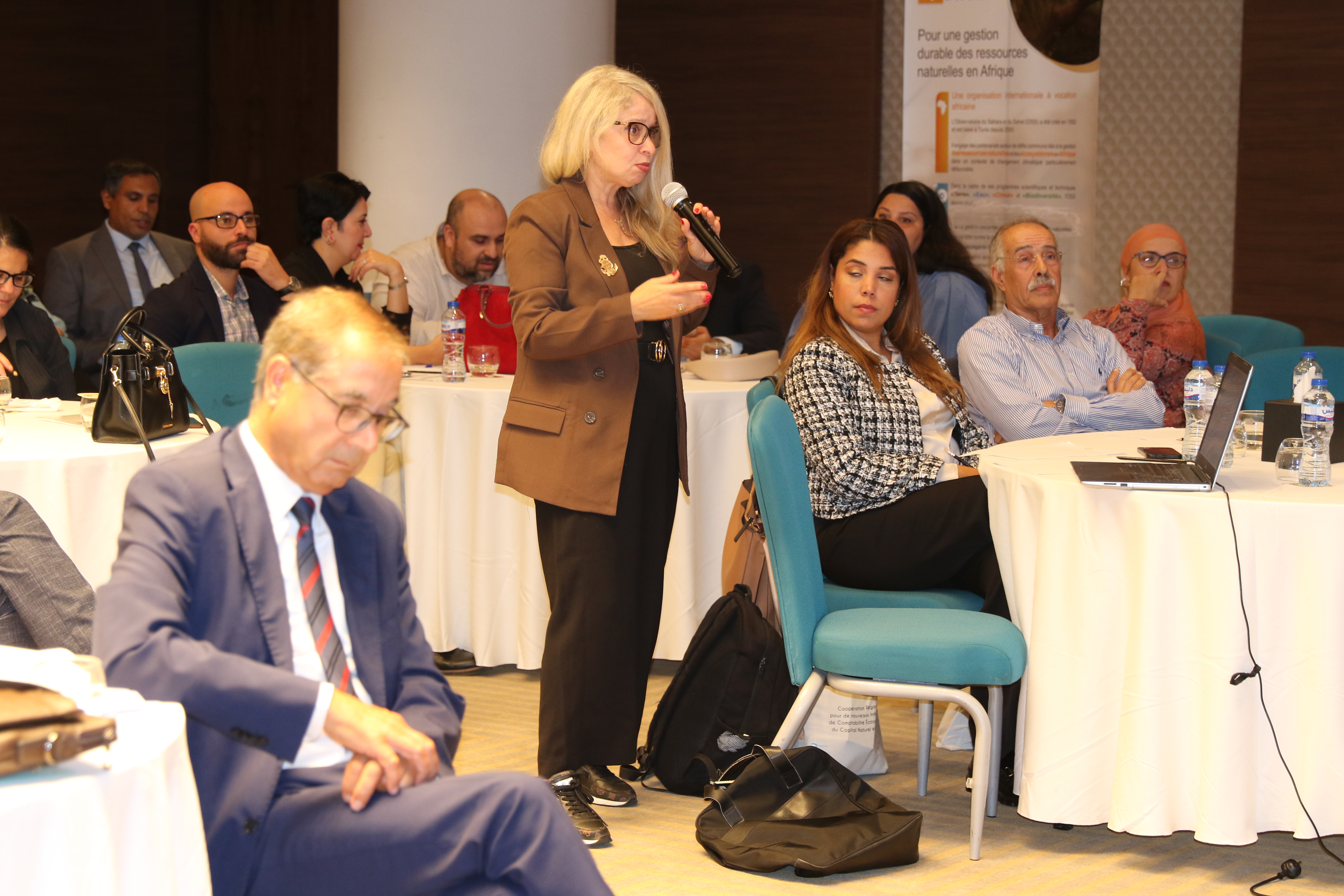 The national workshop for the closure and dissemination of the results of the COPERNICEA 