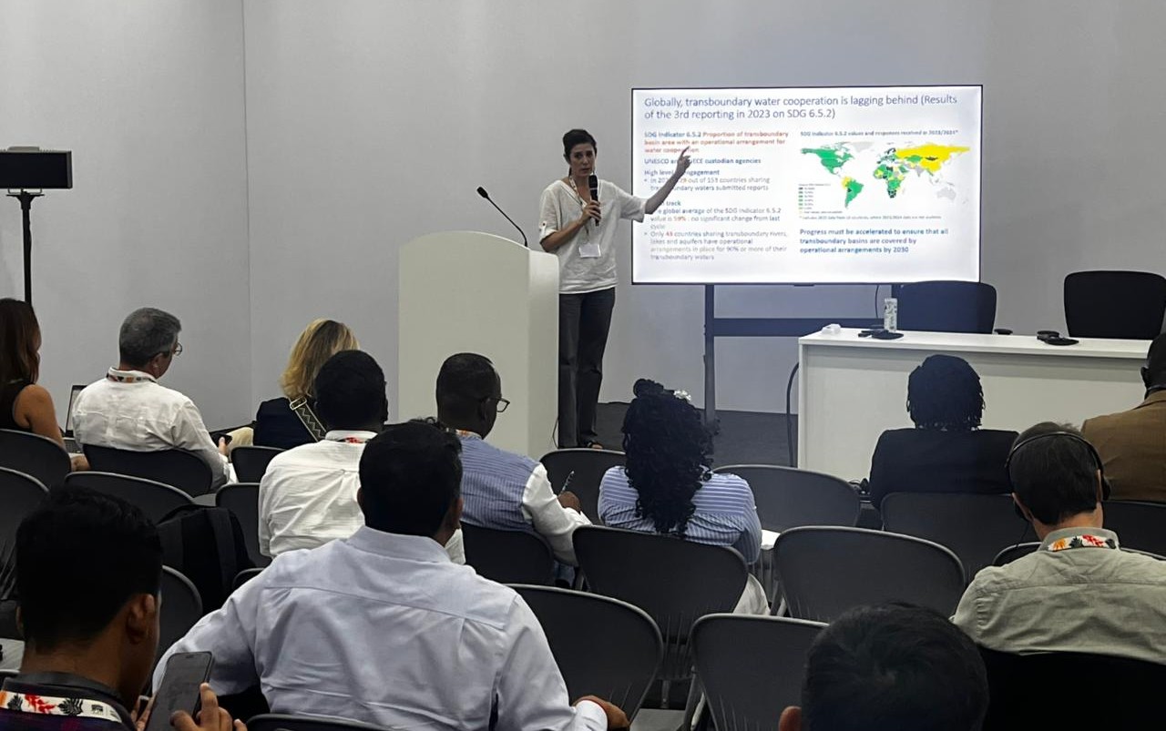 #COP30 - Les Solutions fondées sur la Nature au cœur de l’adaptation climatique dans les bassins fluviaux et lacustres