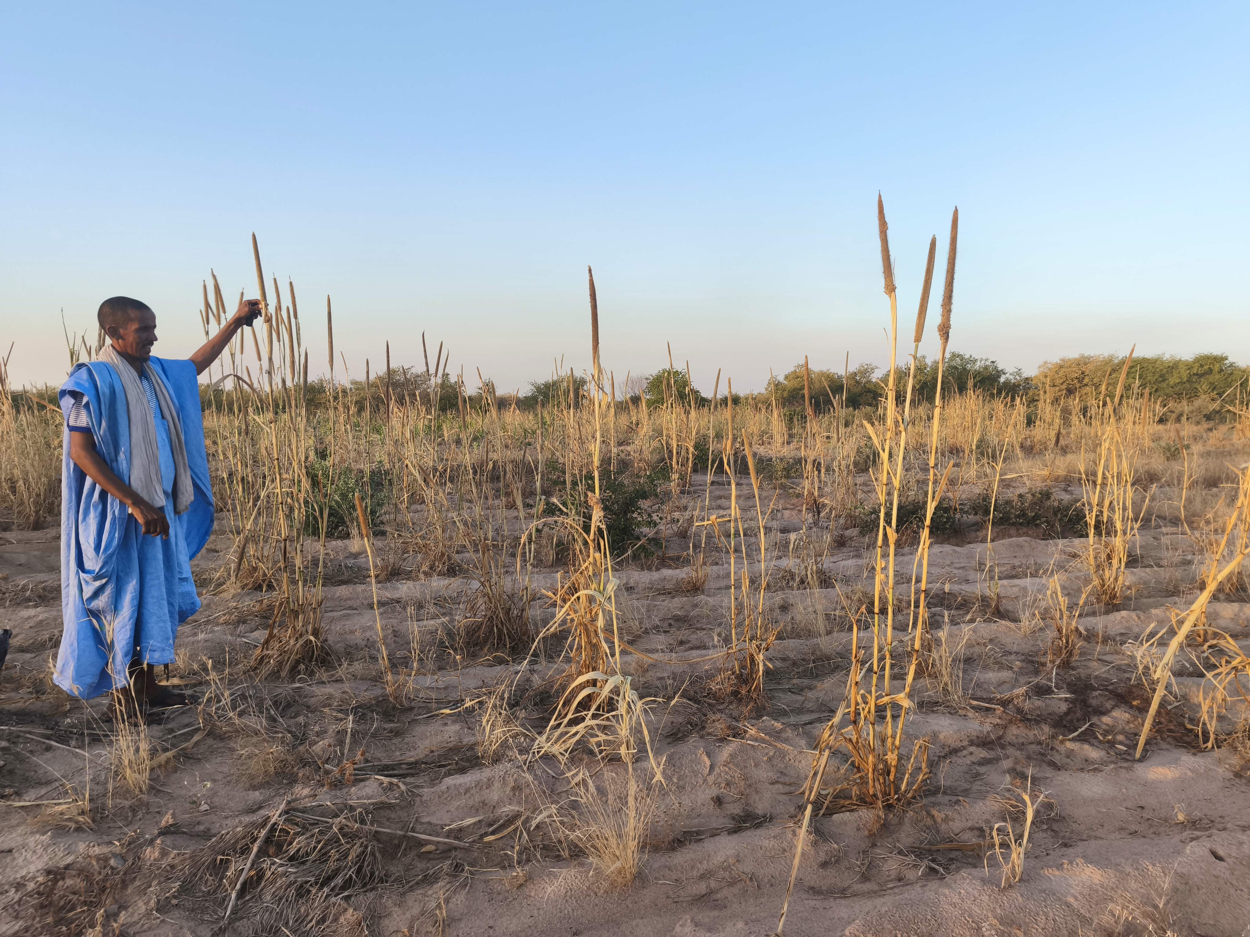The OSS assesses progress of the NB-ITTAS pilot project in Mauritania to strengthen climate-resilient water resource management in the Dhar basin
