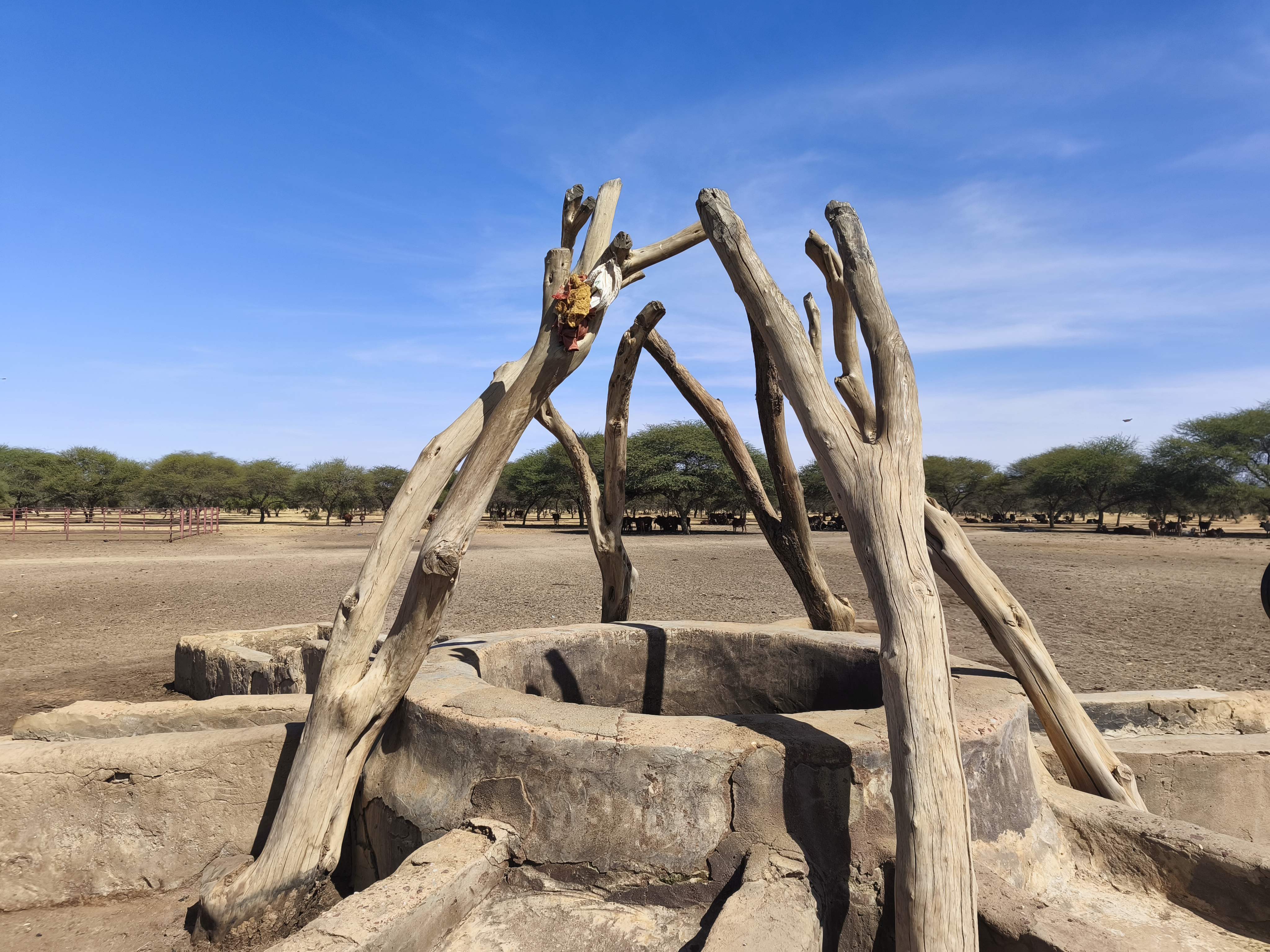 The OSS assesses progress of the NB-ITTAS pilot project in Mauritania to strengthen climate-resilient water resource management in the Dhar basin