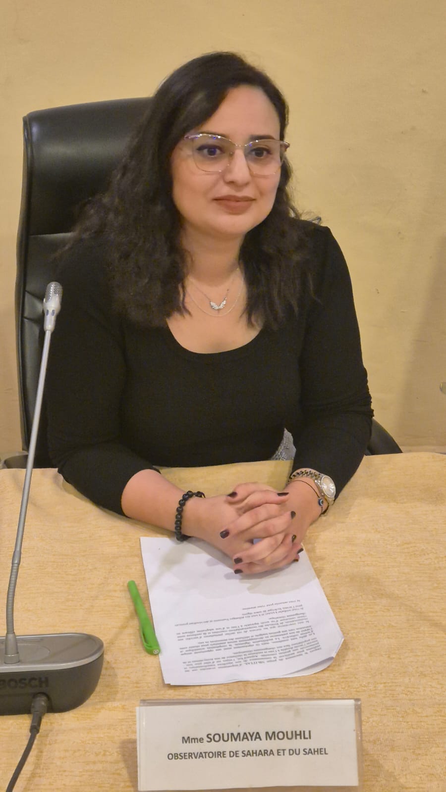 Atelier régional ITTAS : Accès à l’eau et adaptation au changement climatique