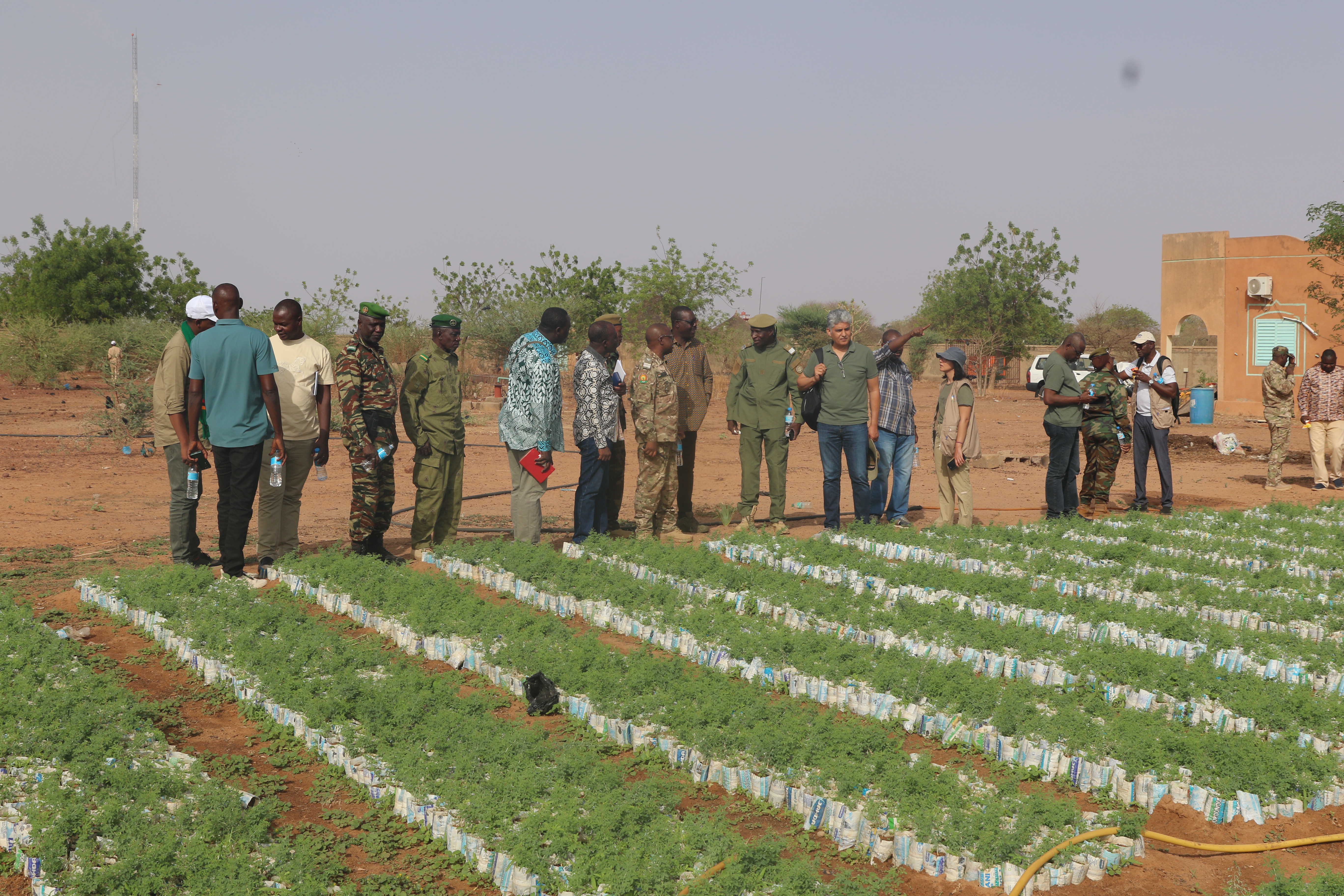 ZOOM sur le Crédit Vert Adapt-WAP : Petit Cout-Gros Impact 