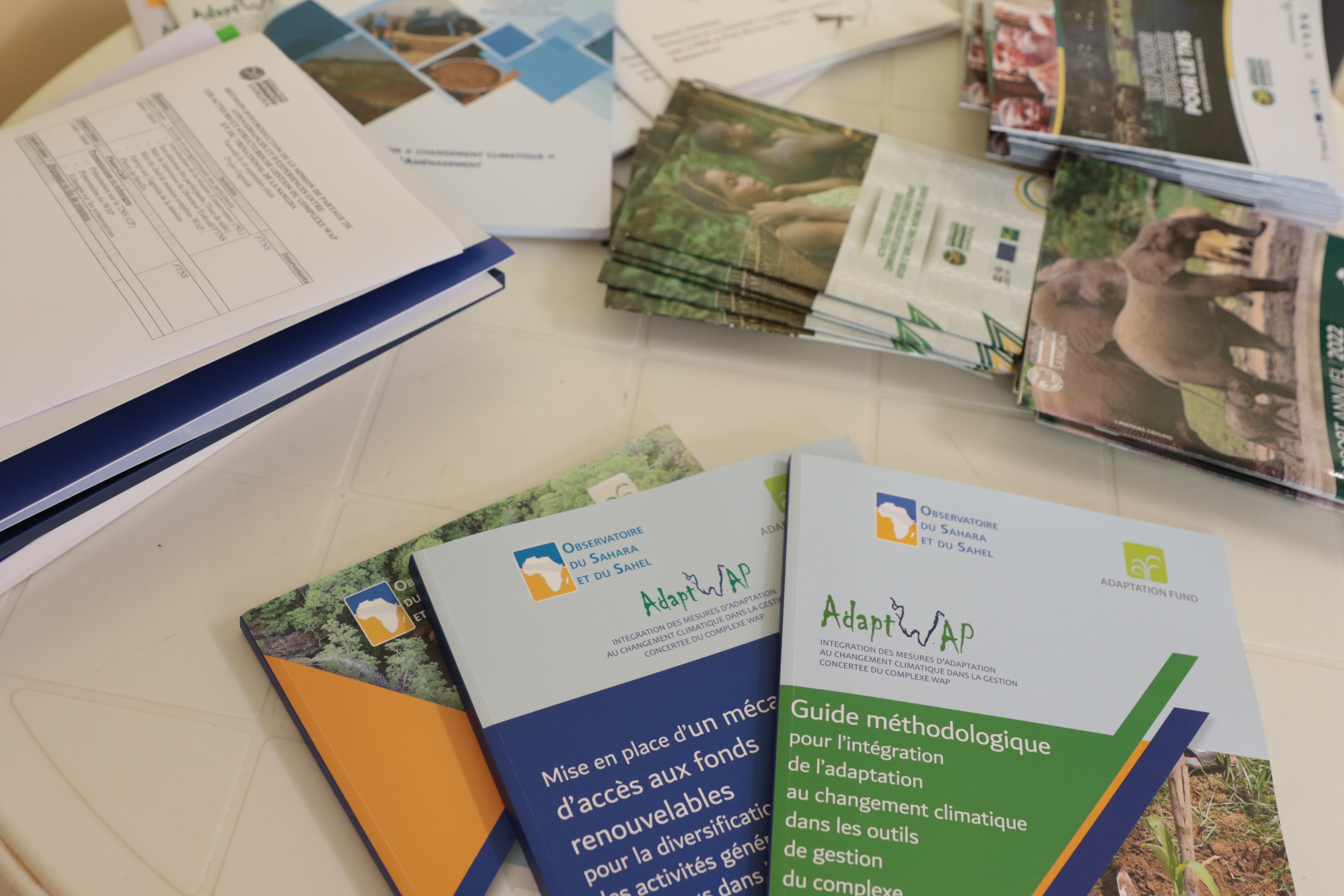 ZOOM sur le Crédit Vert Adapt-WAP : Petit Cout-Gros Impact 