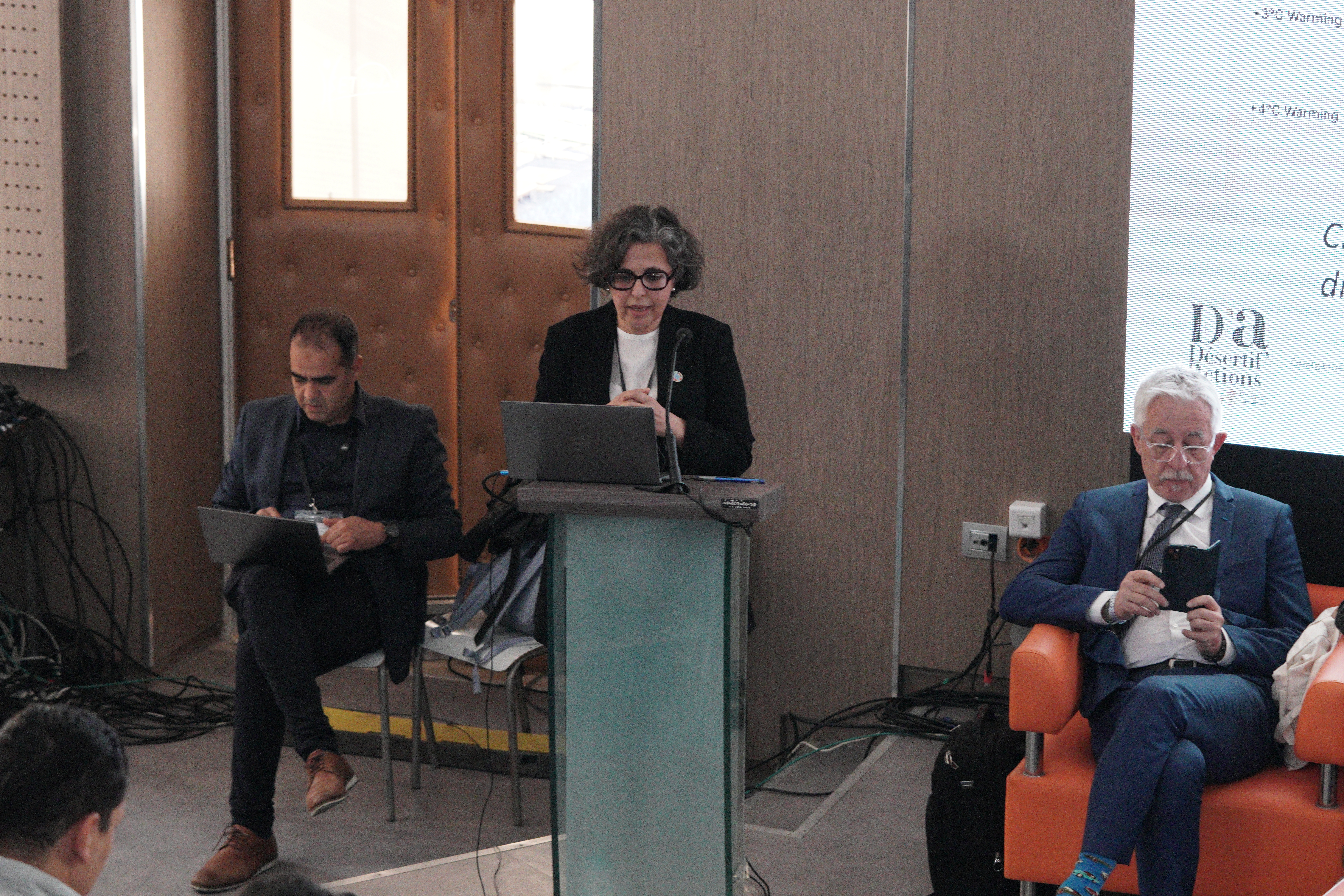 The Sahara and Sahel Observatory at the Désertif’actions Summit: highlights and key moments