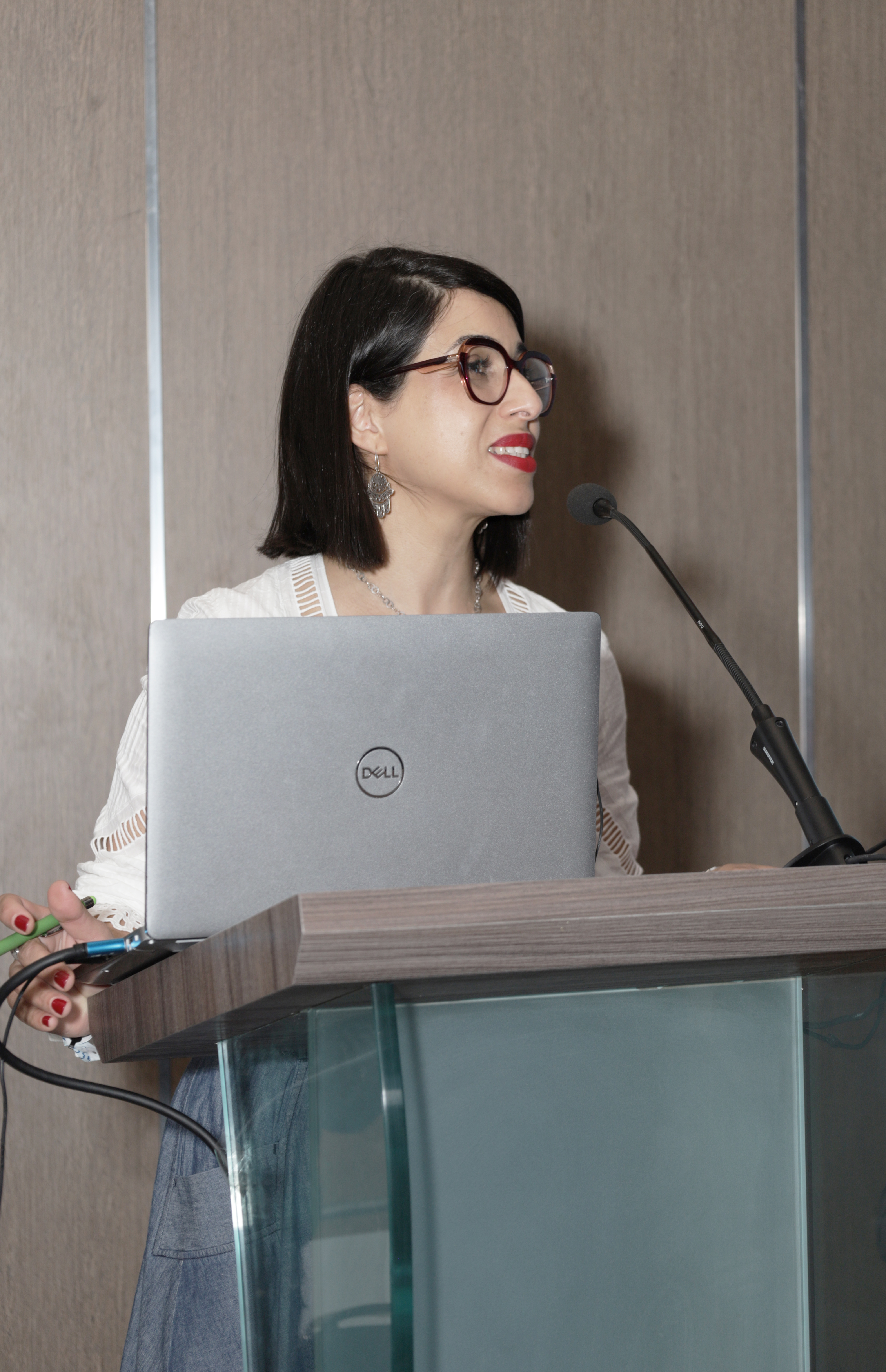 The Sahara and Sahel Observatory at the Désertif’actions Summit: highlights and key moments