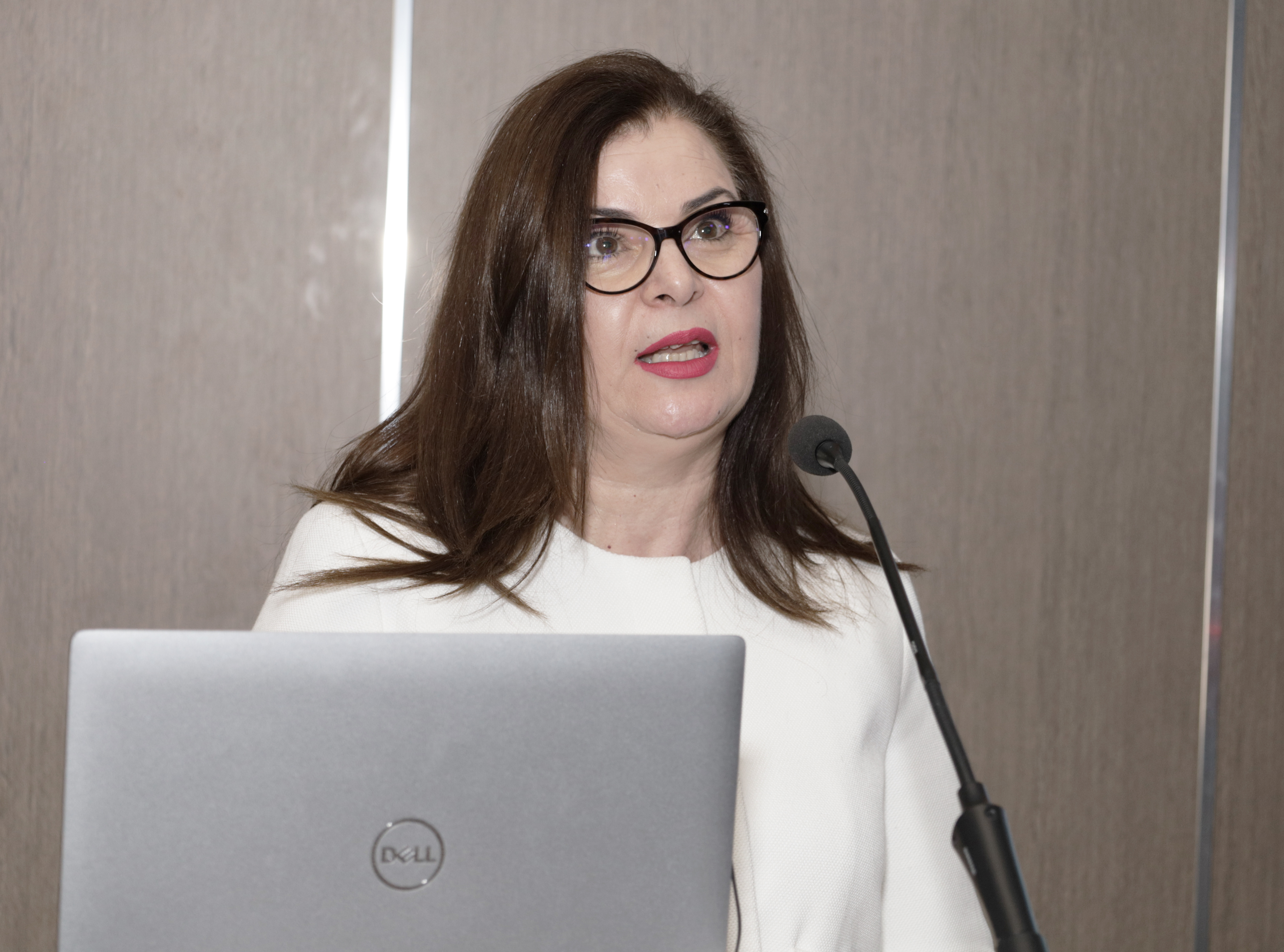 The Sahara and Sahel Observatory at the Désertif’actions Summit: highlights and key moments