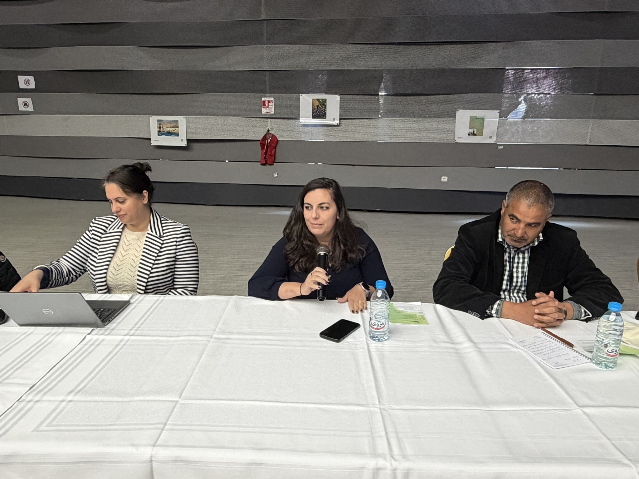 Strengthening Land Degradation Neutrality Reporting as a Strategic Lever for Sustainable Land Management