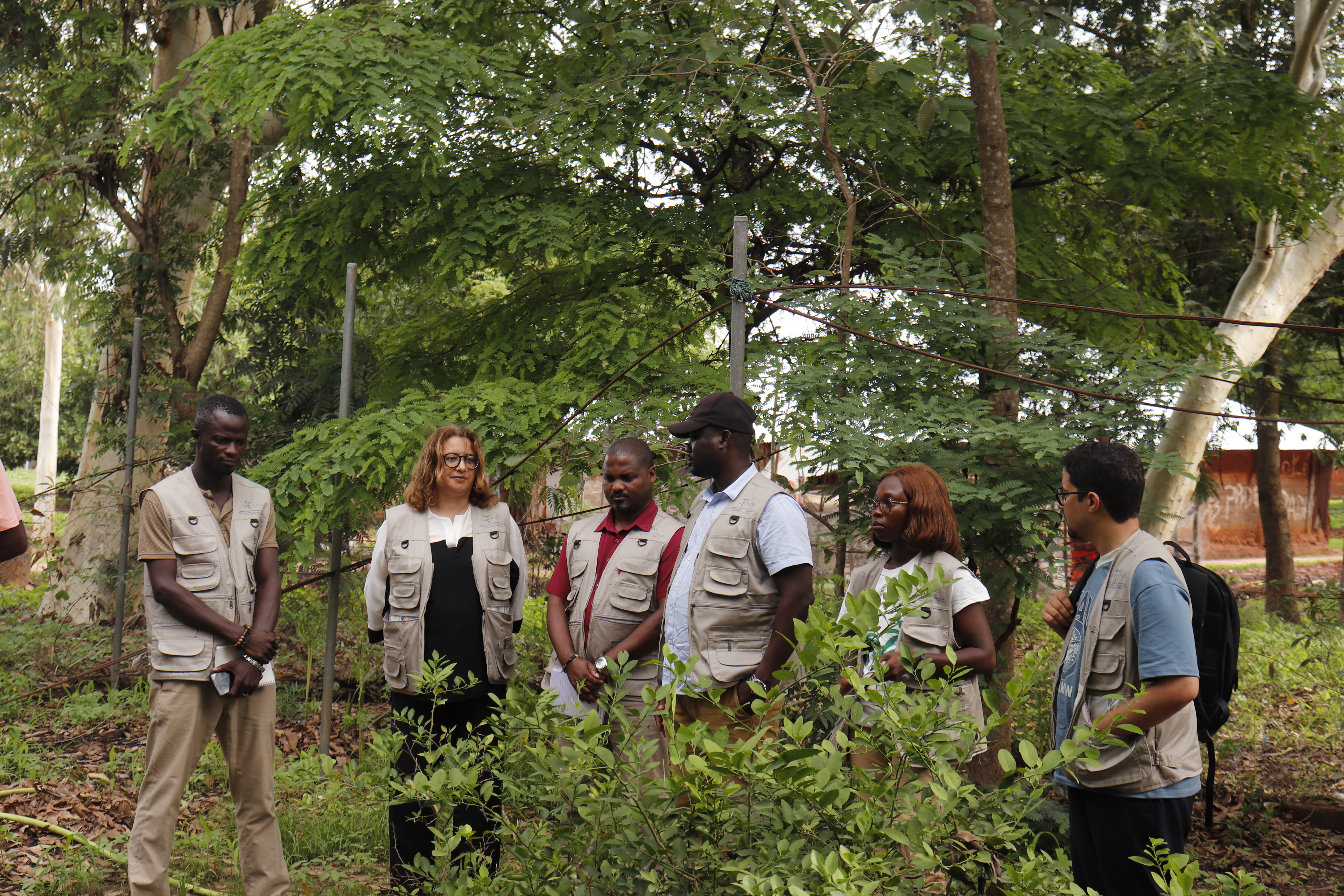 From Commitment to Impact: Strengthening Climate Resilience in Guinea-Bissau 