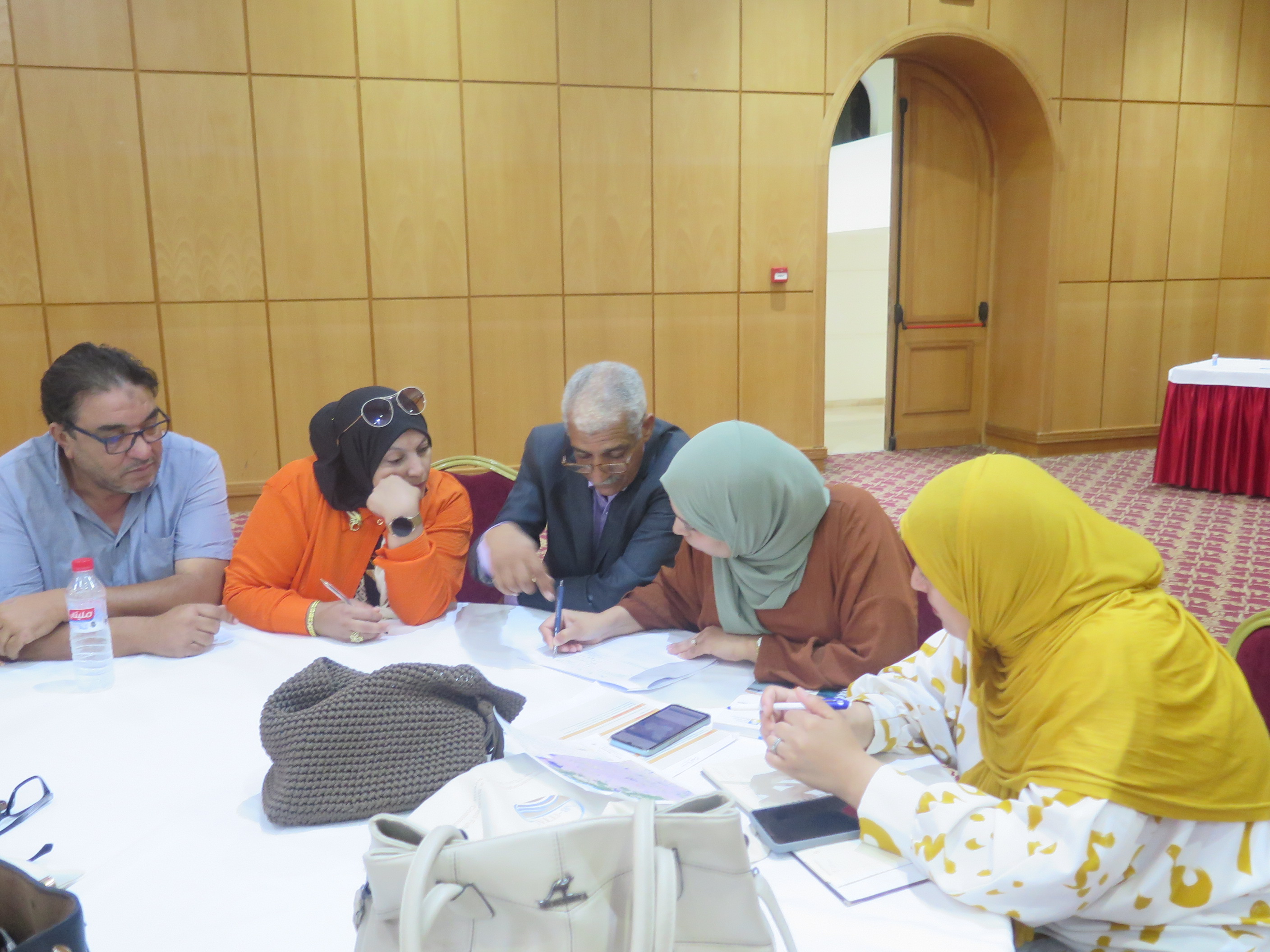 UMBRELLA Tunisia: OSS Places Inclusive Consultation and Scientific Expertise at the Heart of Land Degradation Monitoring