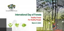 International Day of Forests