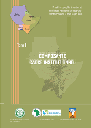 Composante cadre institutionnel