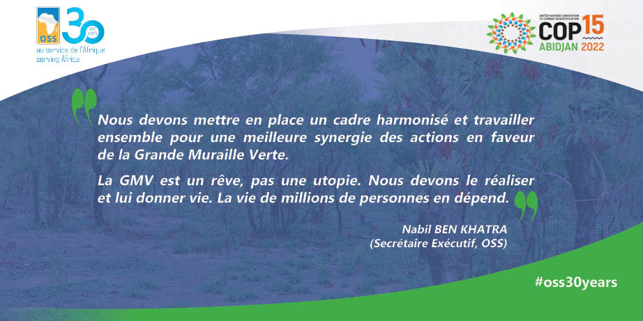 Initiative de la Grande Muraille Verte