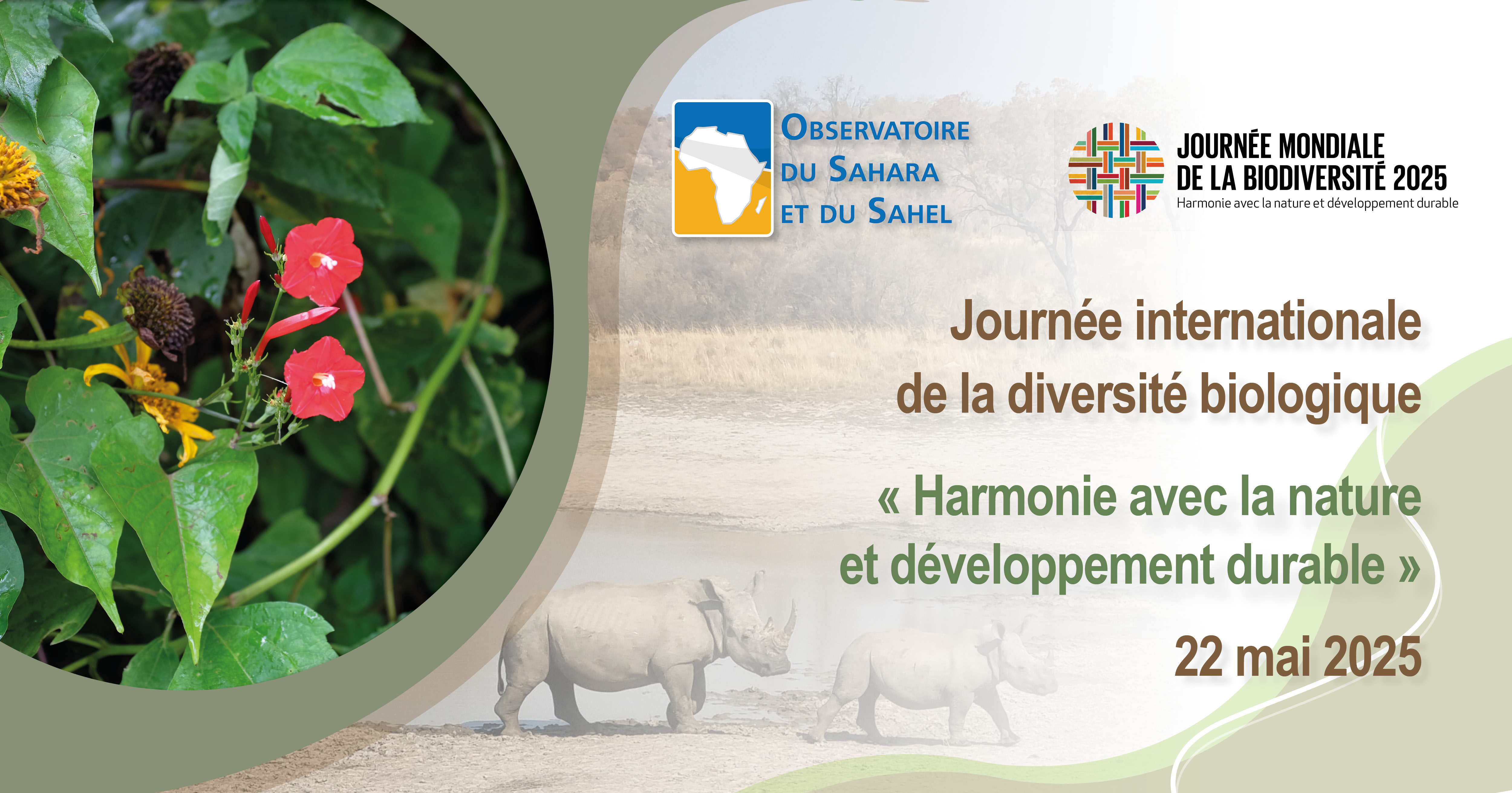 Journée internationale de la diversité biologique - 22 mai - « Harmonie avec la nature et développement durable »