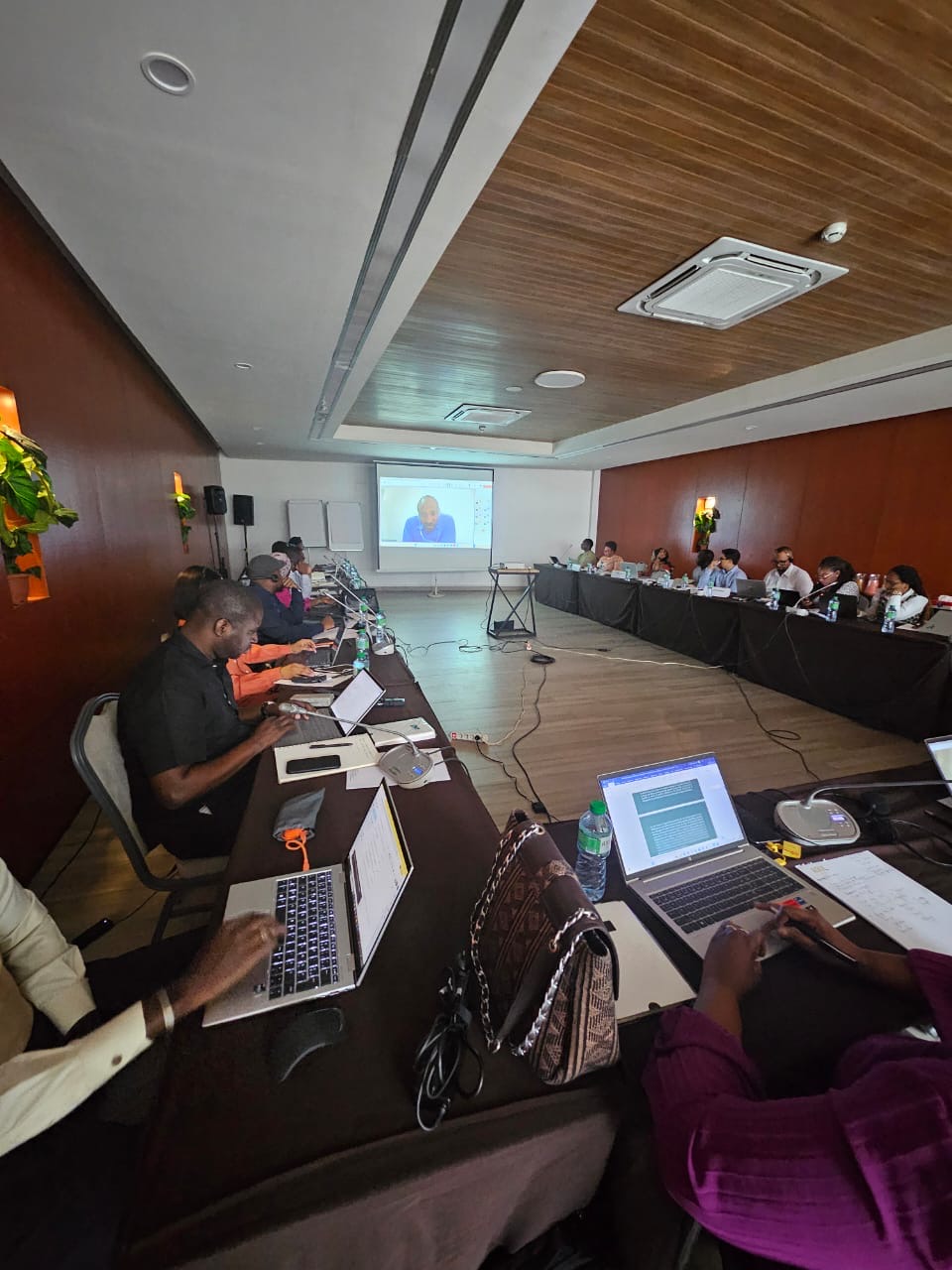 OSS at the heart of climate finance capacity building in Africa