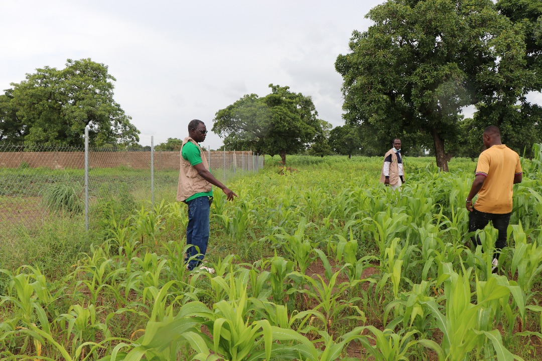 AdaptWAP project follow-up mission in Burkina Faso
