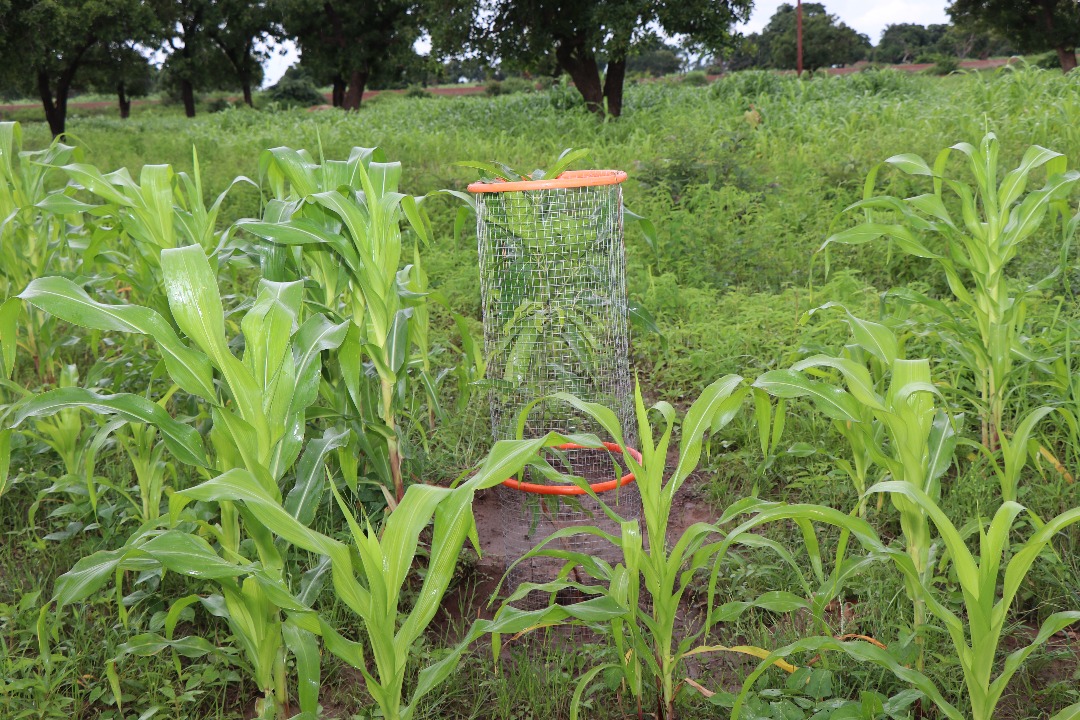 AdaptWAP project follow-up mission in Burkina Faso