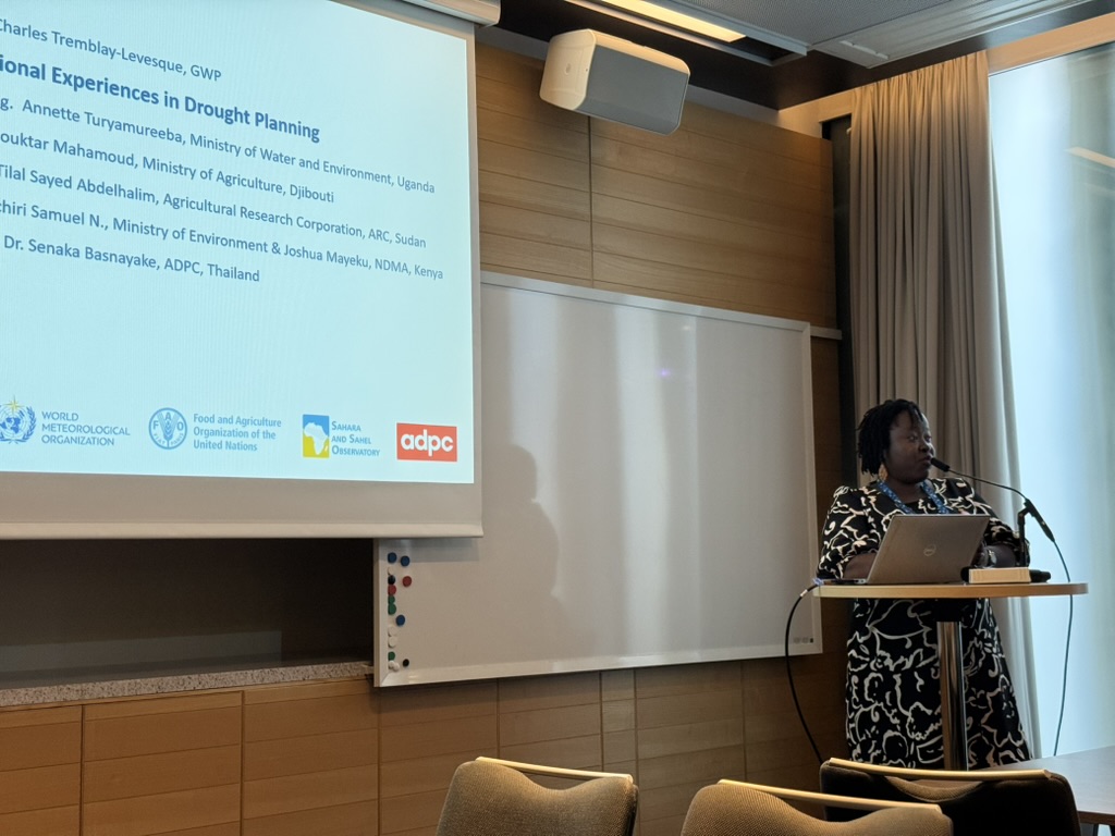 OSS Showcases DRESSEA and the Drought–Water Nexus at Stockholm World Water Week 2025