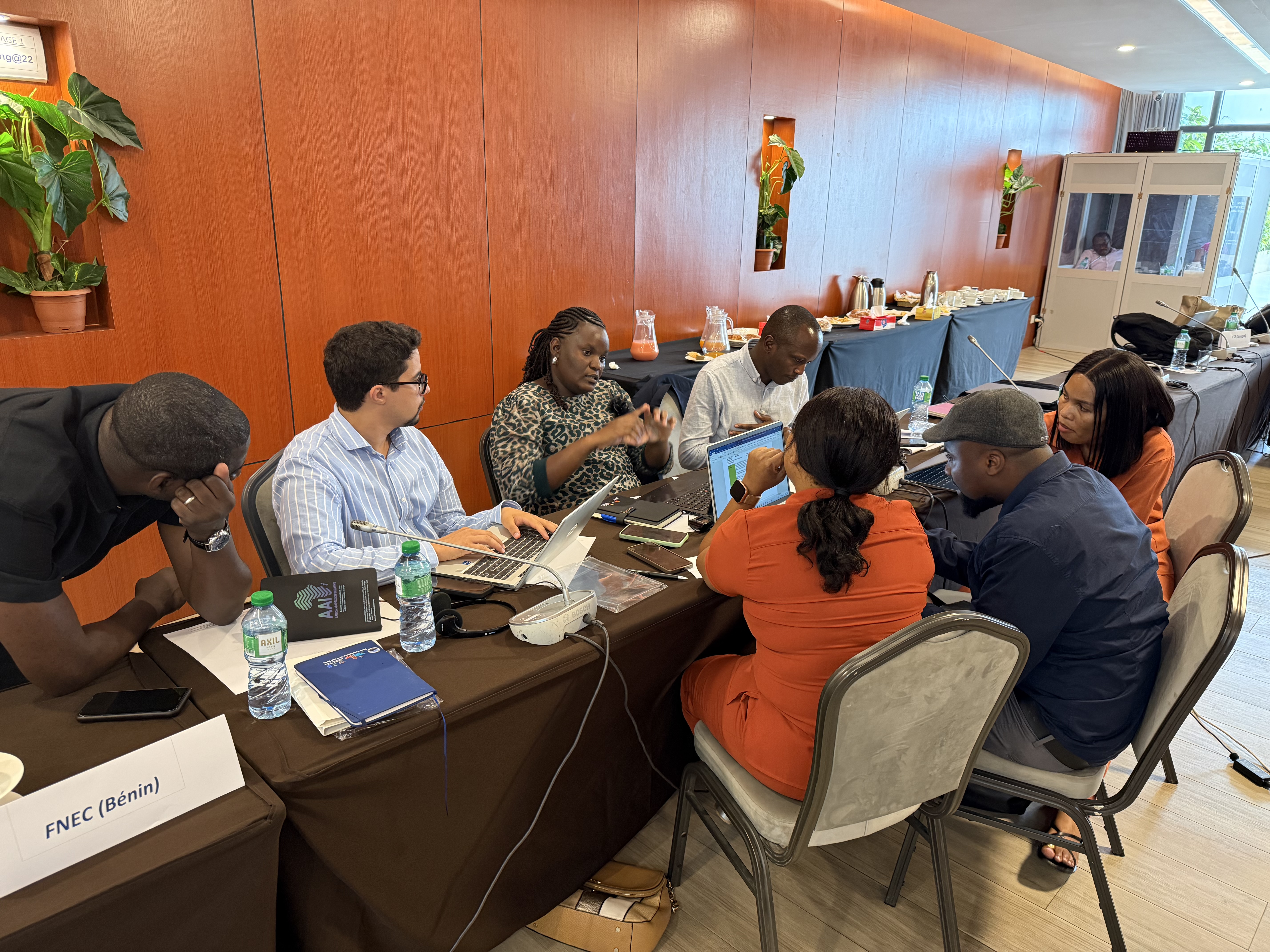 OSS at the heart of climate finance capacity building in Africa