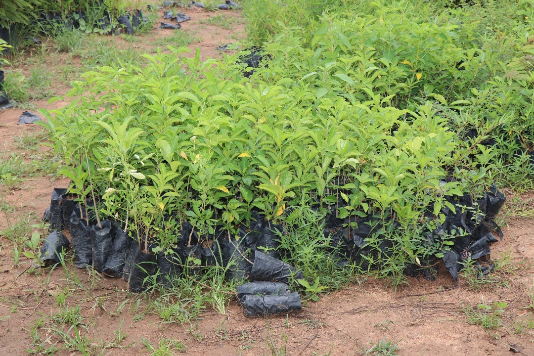 AdaptWAP project follow-up mission in Burkina Faso