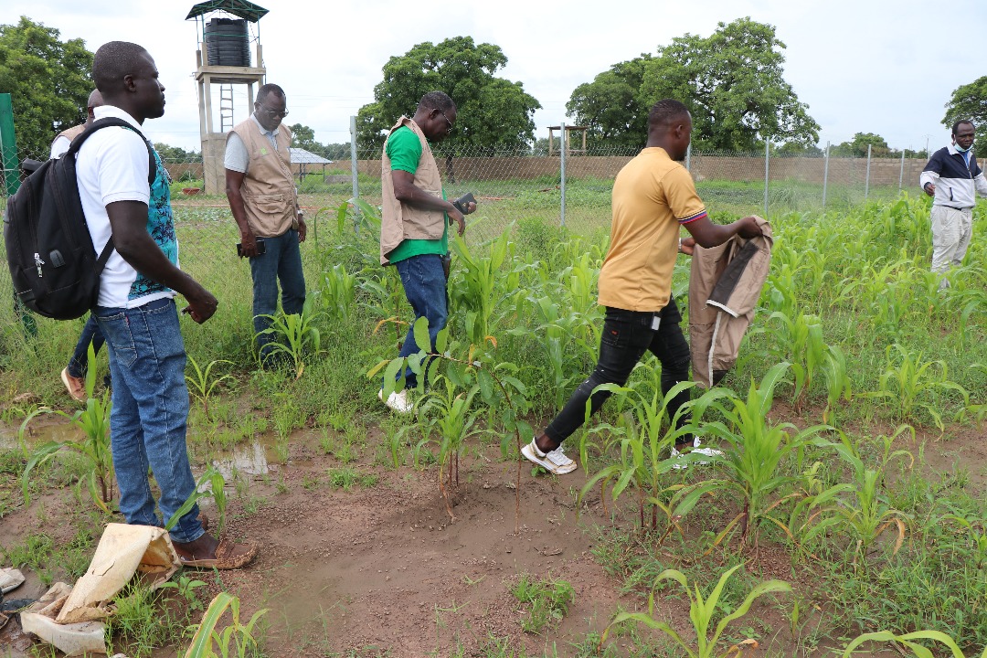 AdaptWAP project follow-up mission in Burkina Faso