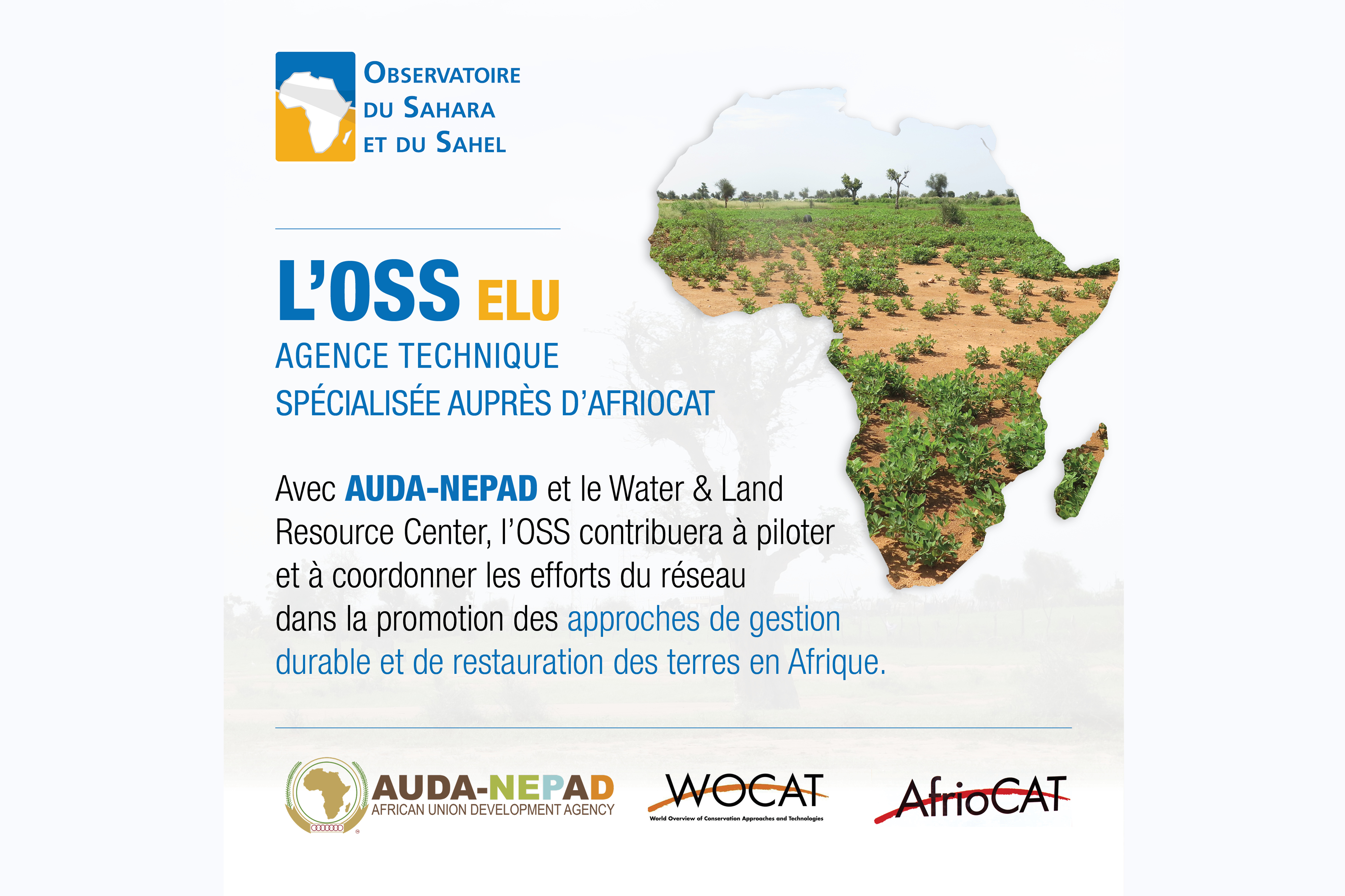 L’OSS élu au sein de l’Équipe régionale de coordination d’AfrioCAT